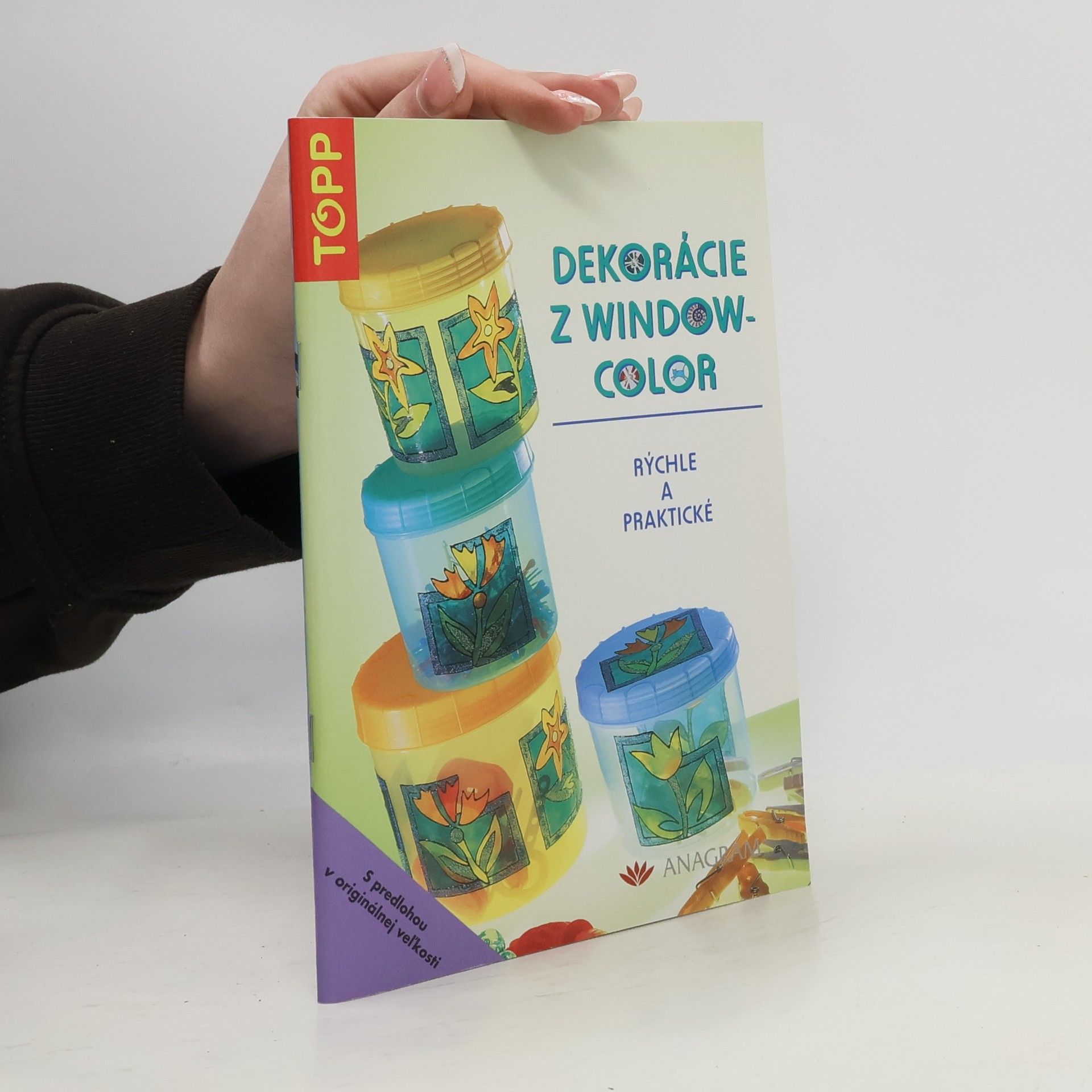 Collectif d'auteurs Dekorace z window-color : rychlé a praktické