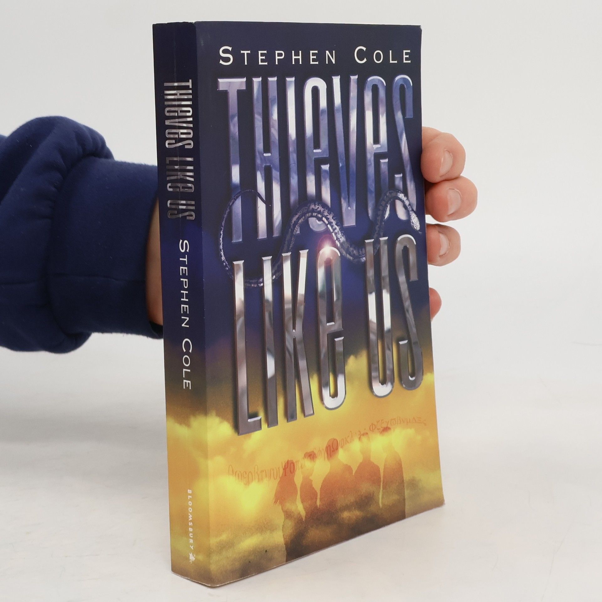 Steve Cole Thieves Like Us