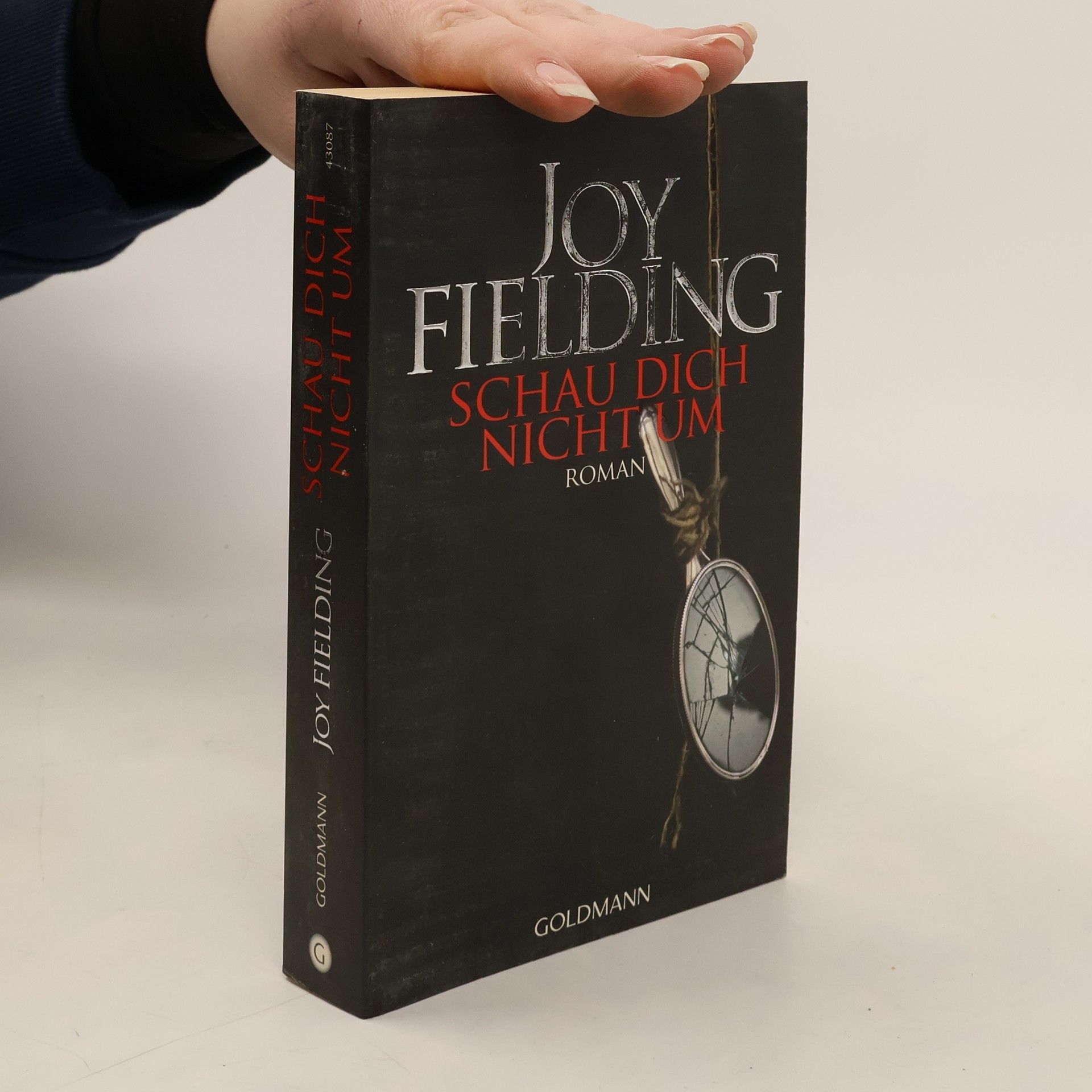 Joy Fielding Schau dich nicht um