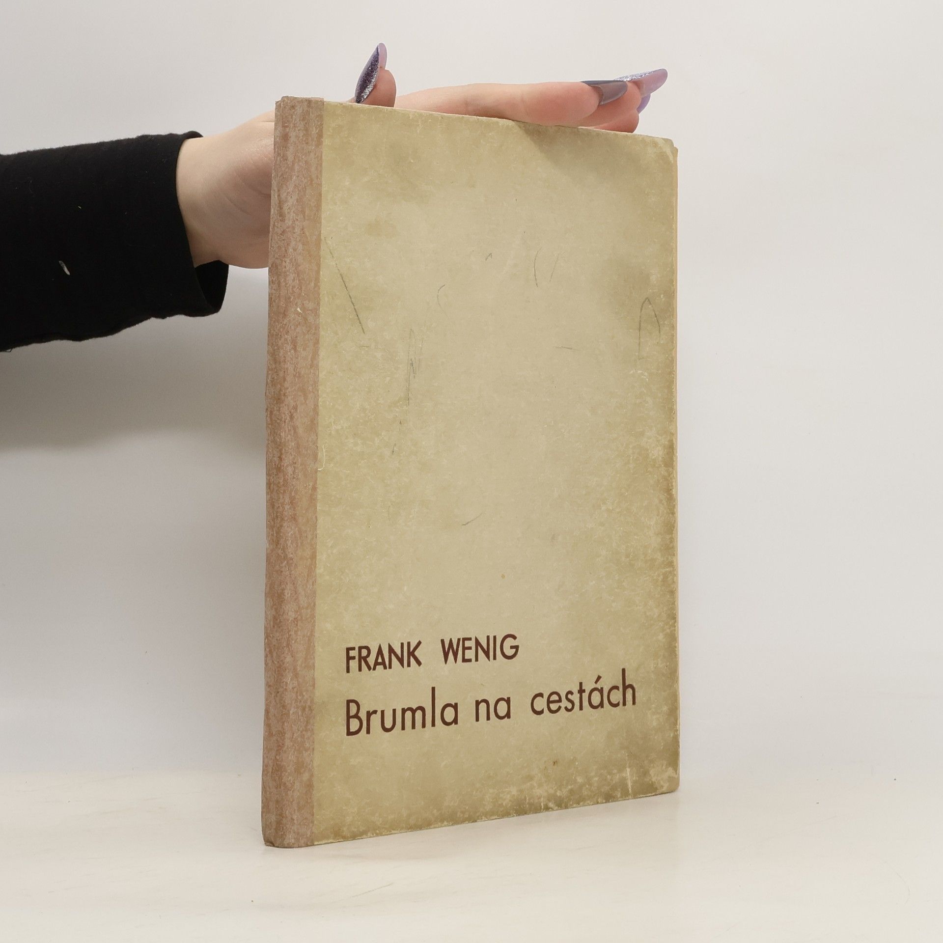 Frank Wenig Brumla na cestách