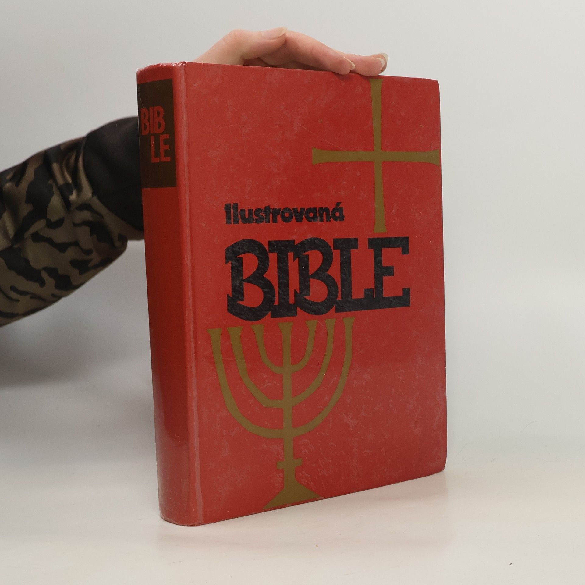 Ilustrovaná Bible pro mládež