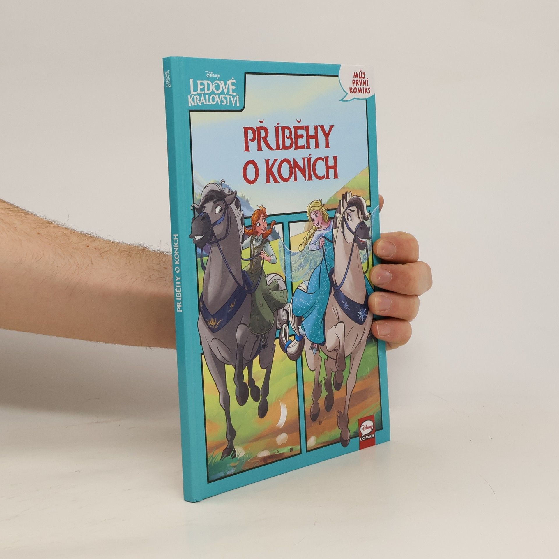 Collectif d'auteurs Ledové království - Příběhy o koních