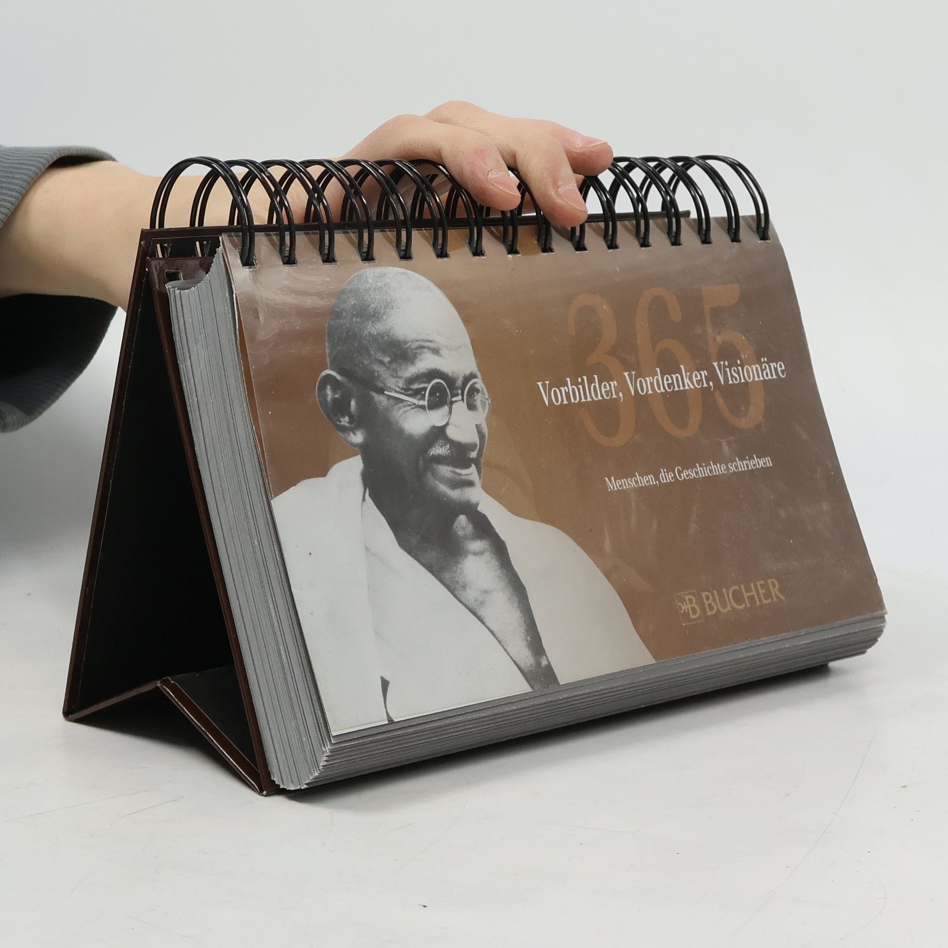 Kolektív autorov 365 Vorbilder, Vordenker, Visionäre