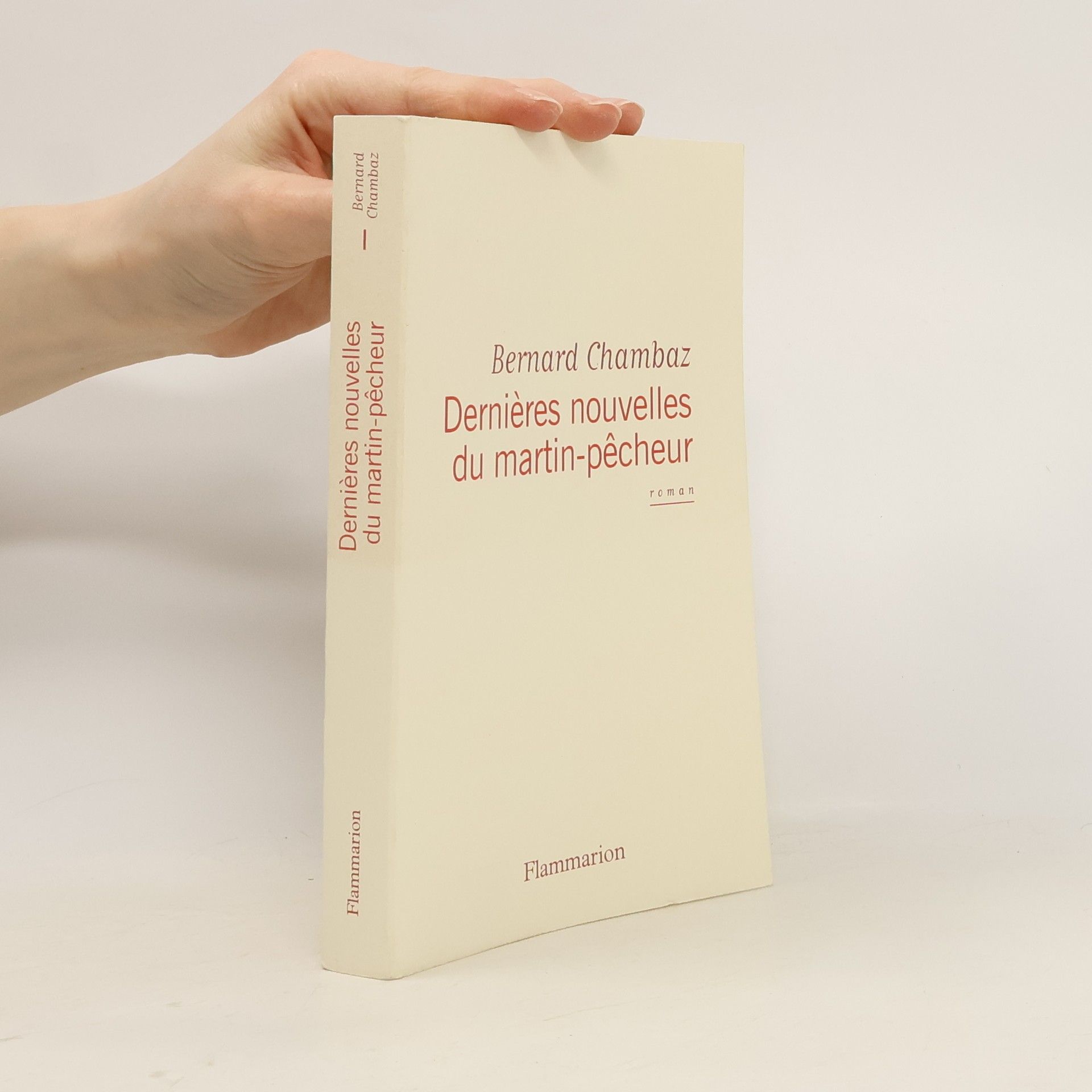 Bernard Chambaz Dernières nouvelles du Martin Pêcheur