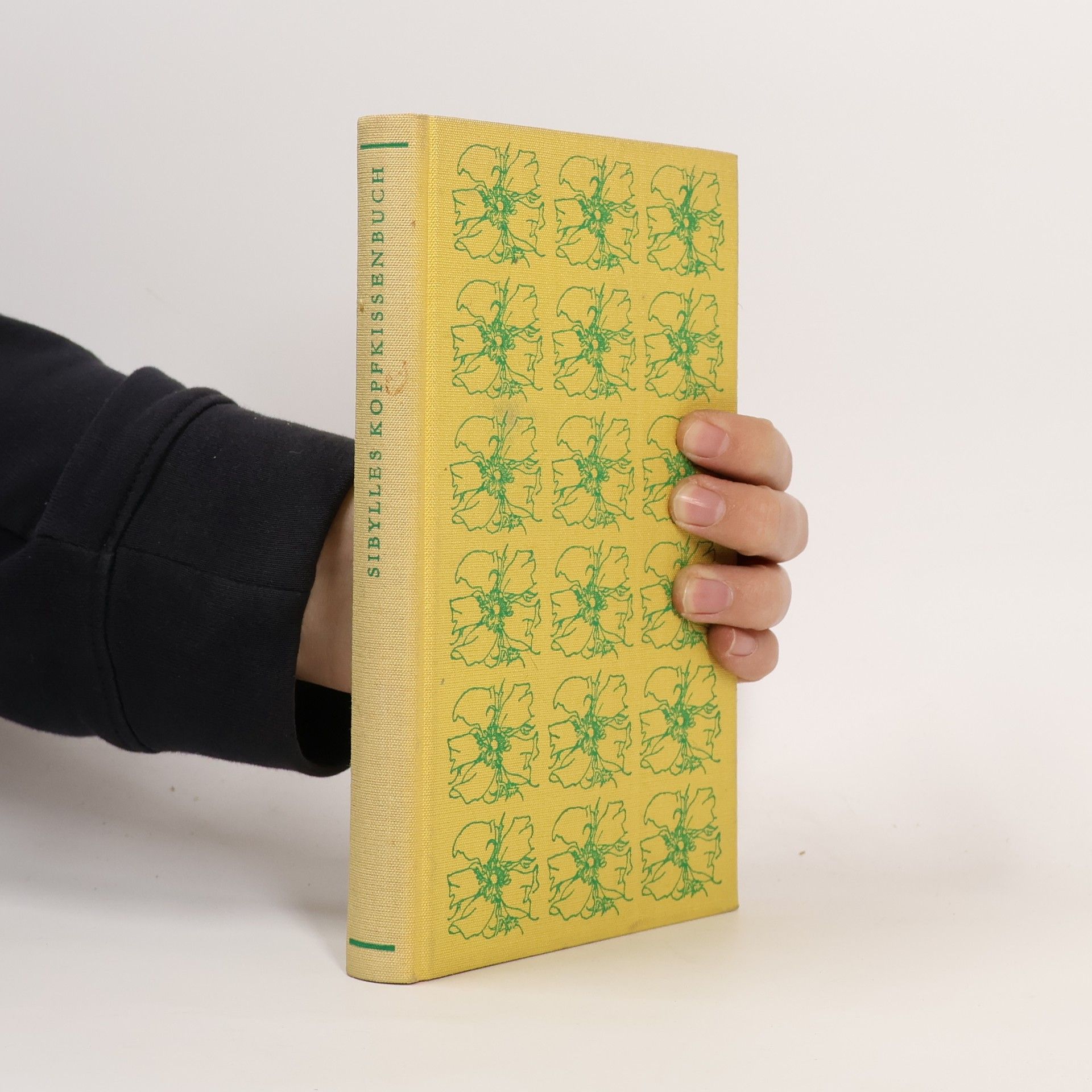 Heinz Knobloch Sibylles Kopfkissenbuch. Rund um das Bett