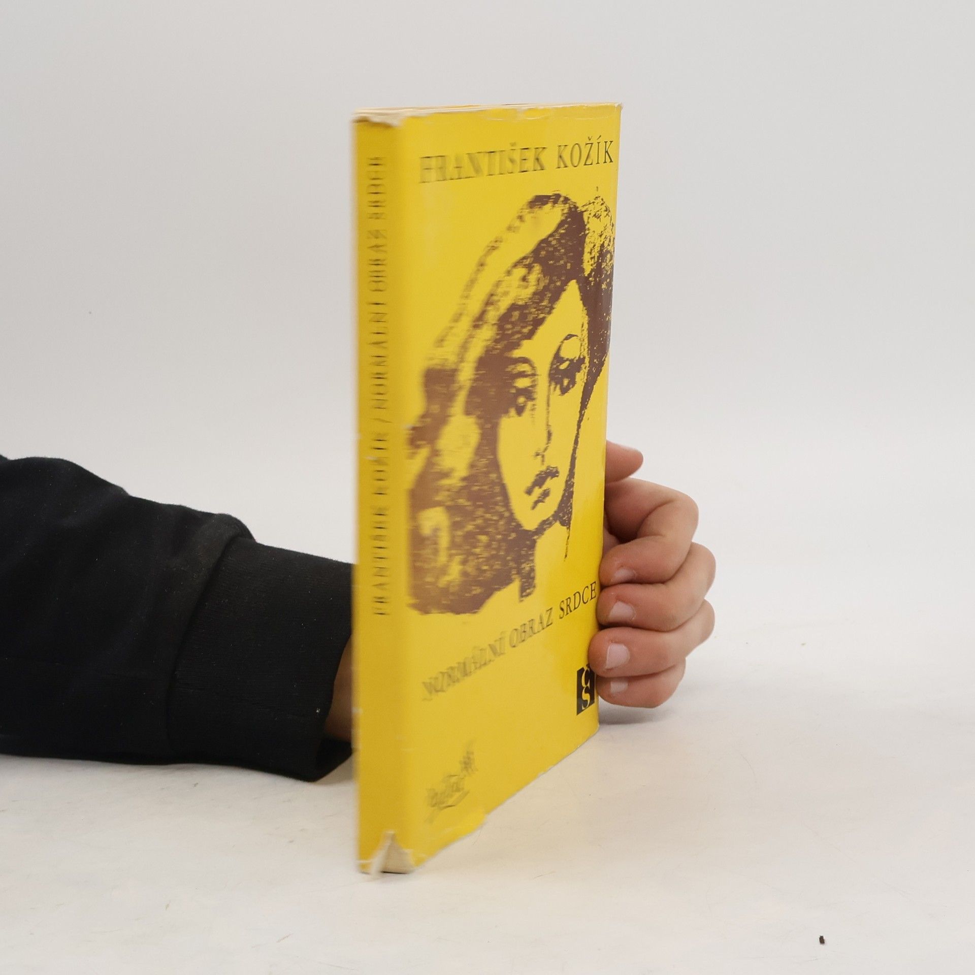 František Kožík Normální obraz srdce