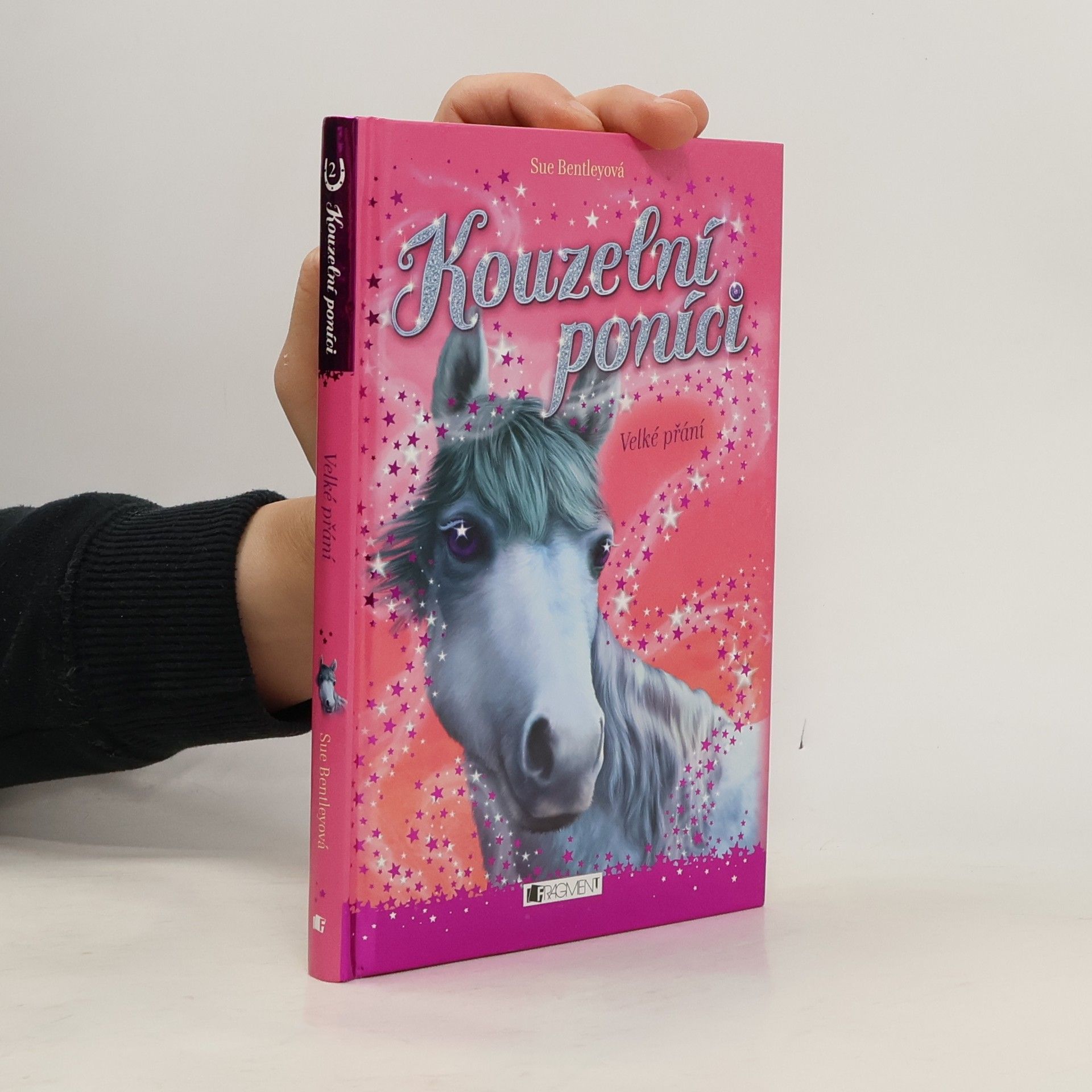 Sue Bentley Velké přání