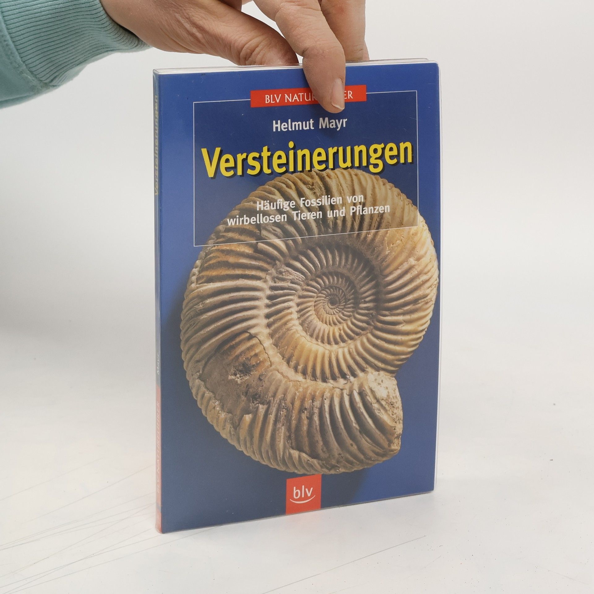 Versteinerungen