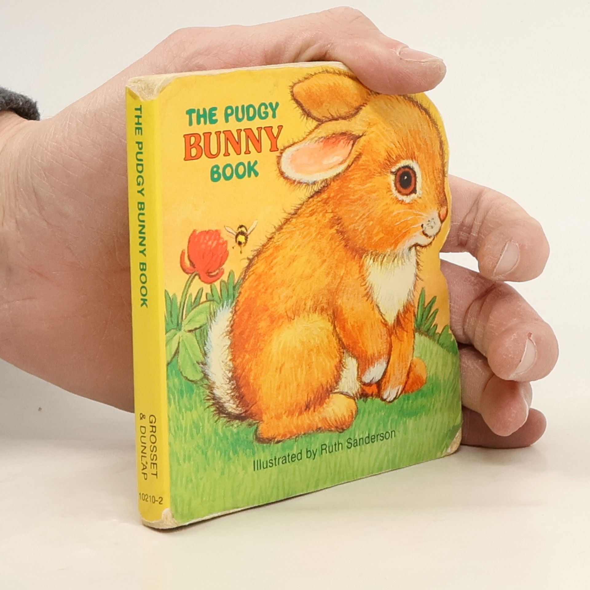 Ruth Sanderson The Pudgy Bunny Book