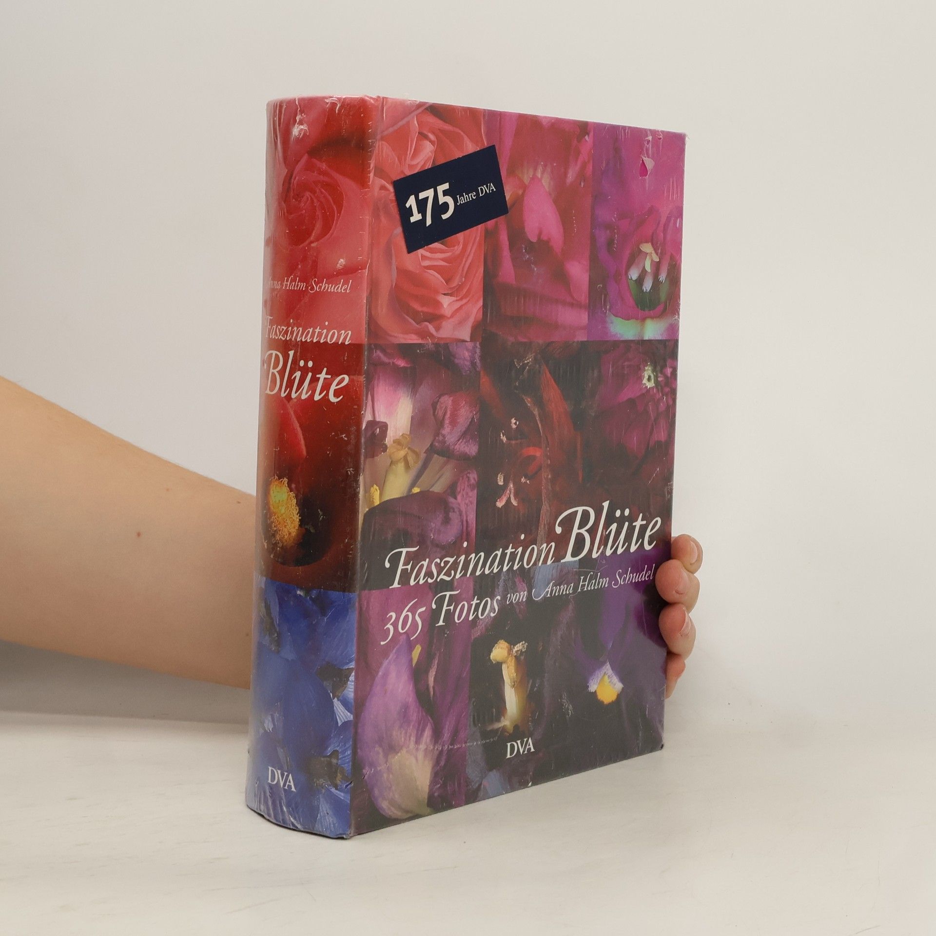 Anna Halm Schudel Faszination Blüte