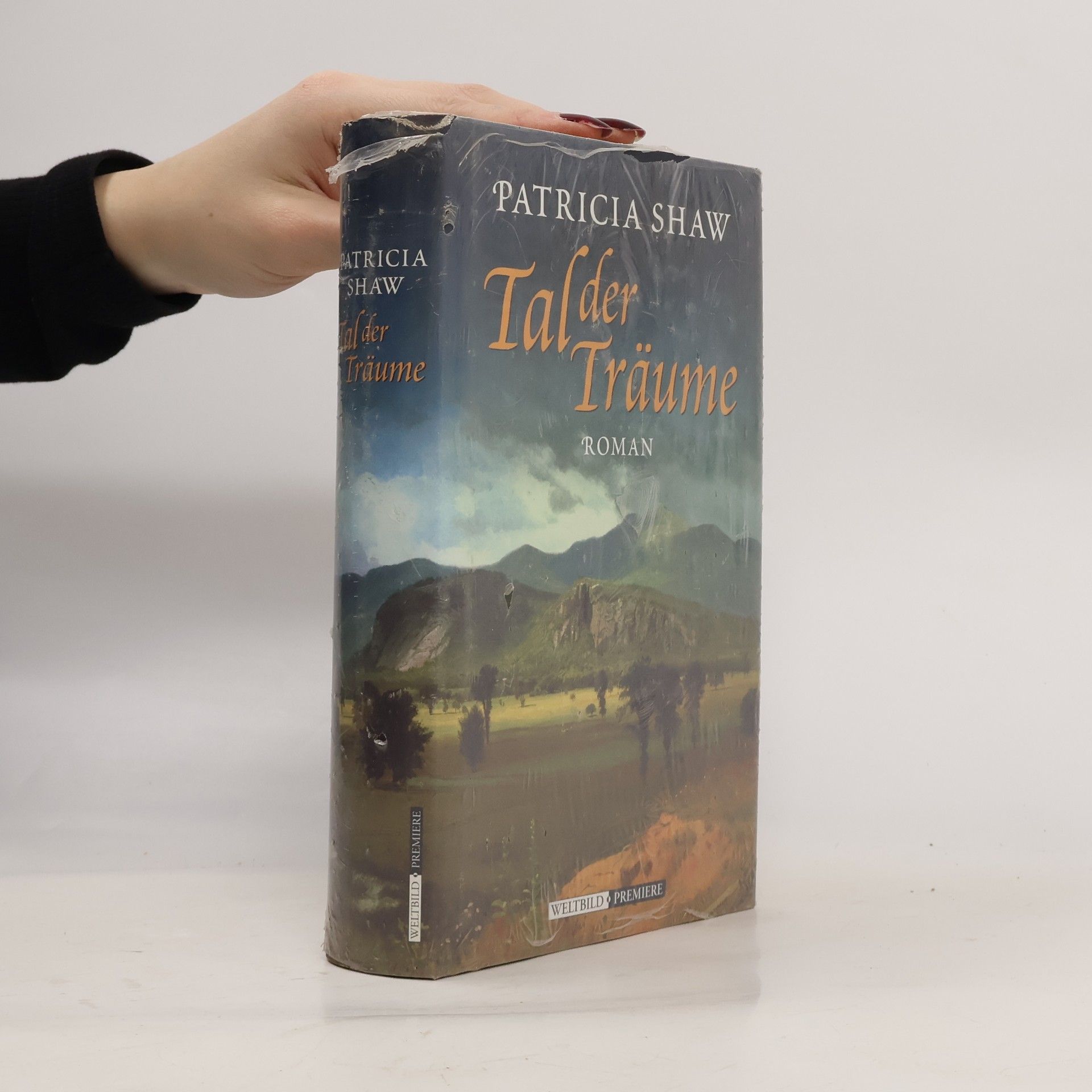 Patricia Shaw Tal der Träume