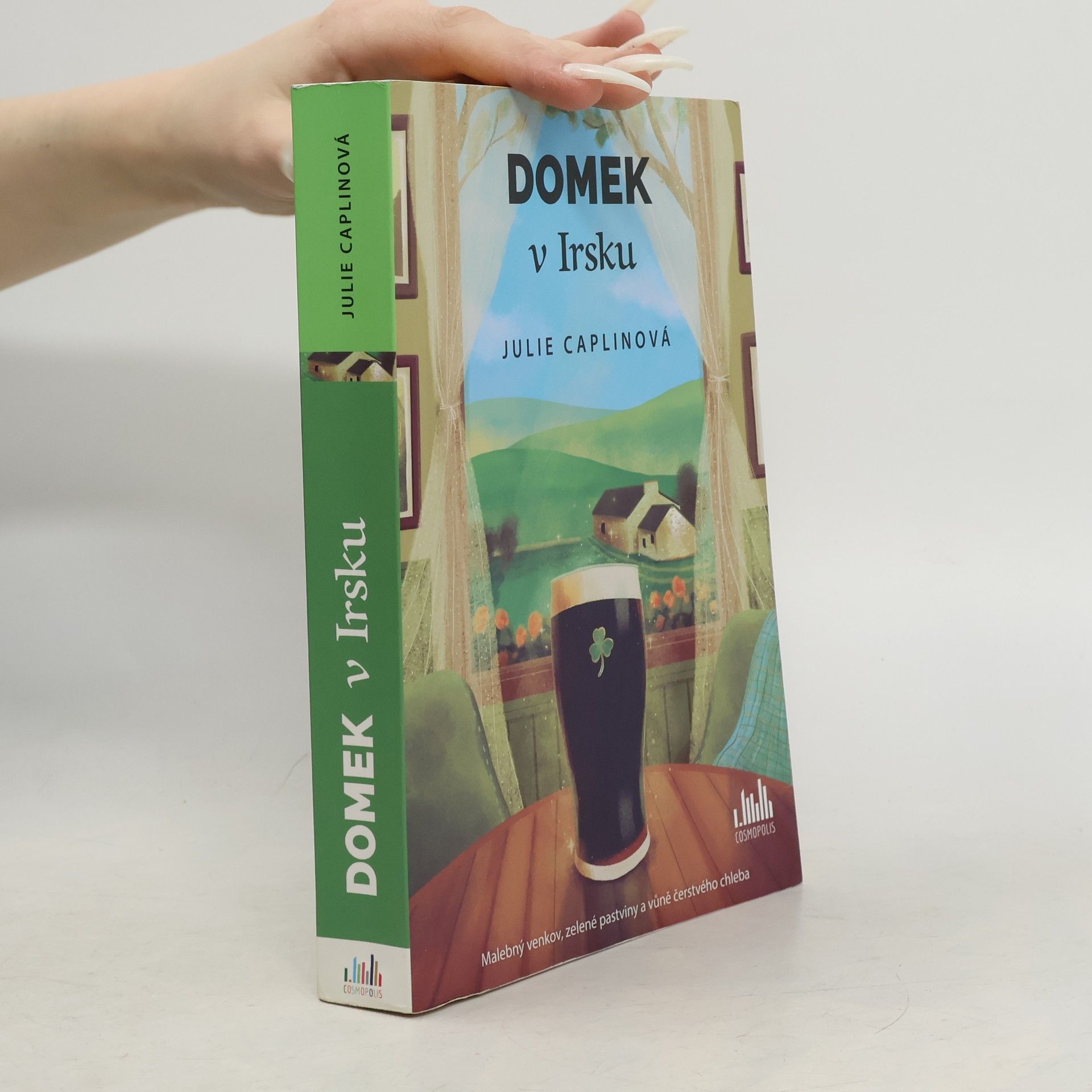 Domek v Irsku