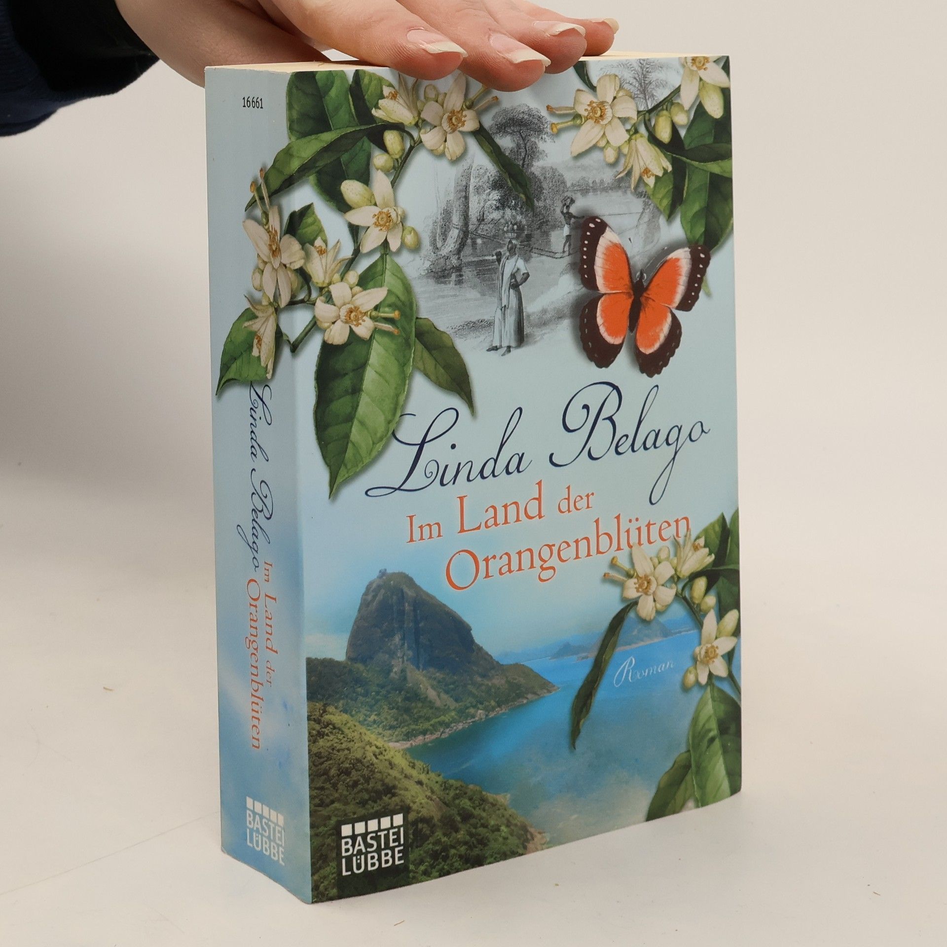 Im Land der Orangenblüten