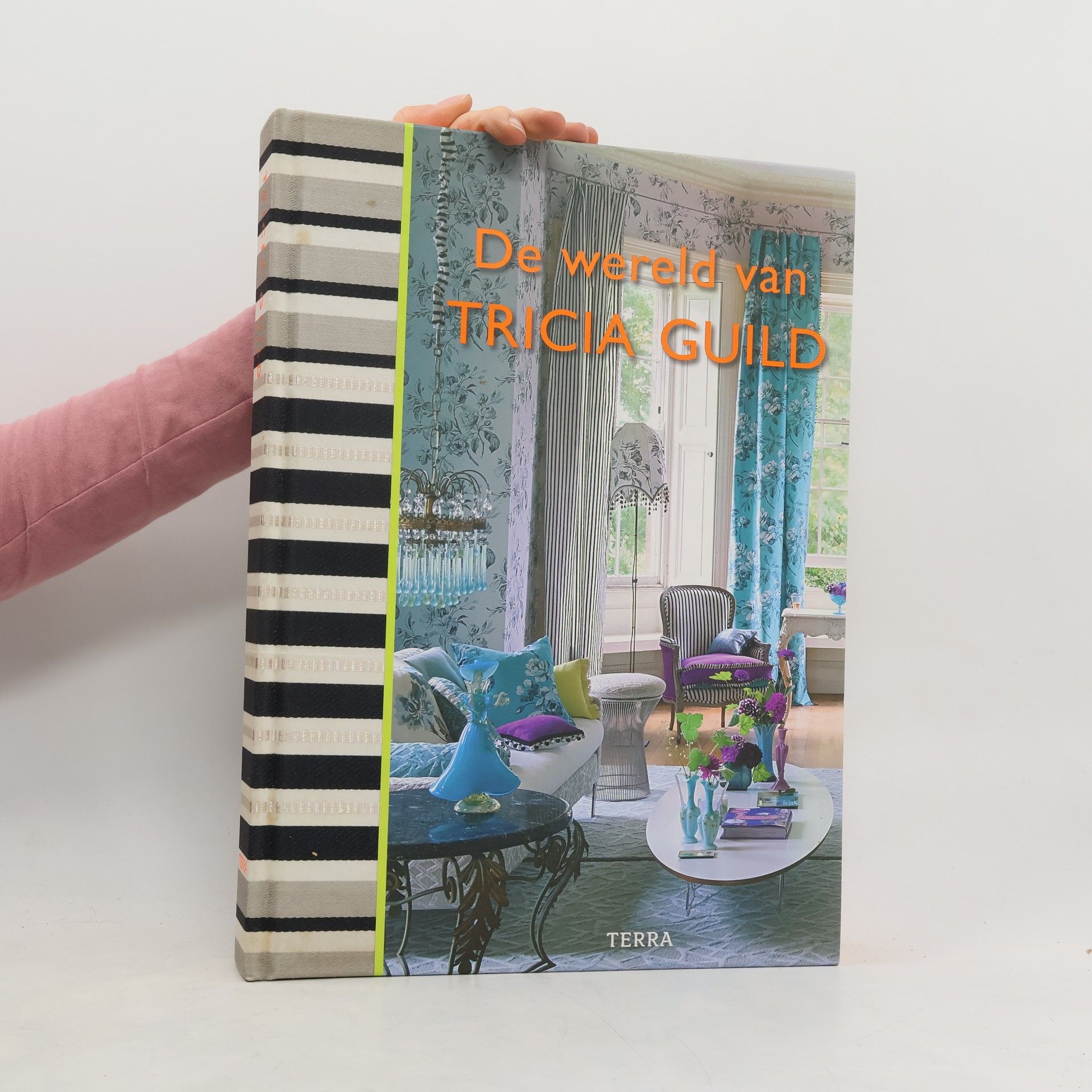 De wereld van Tricia Guild