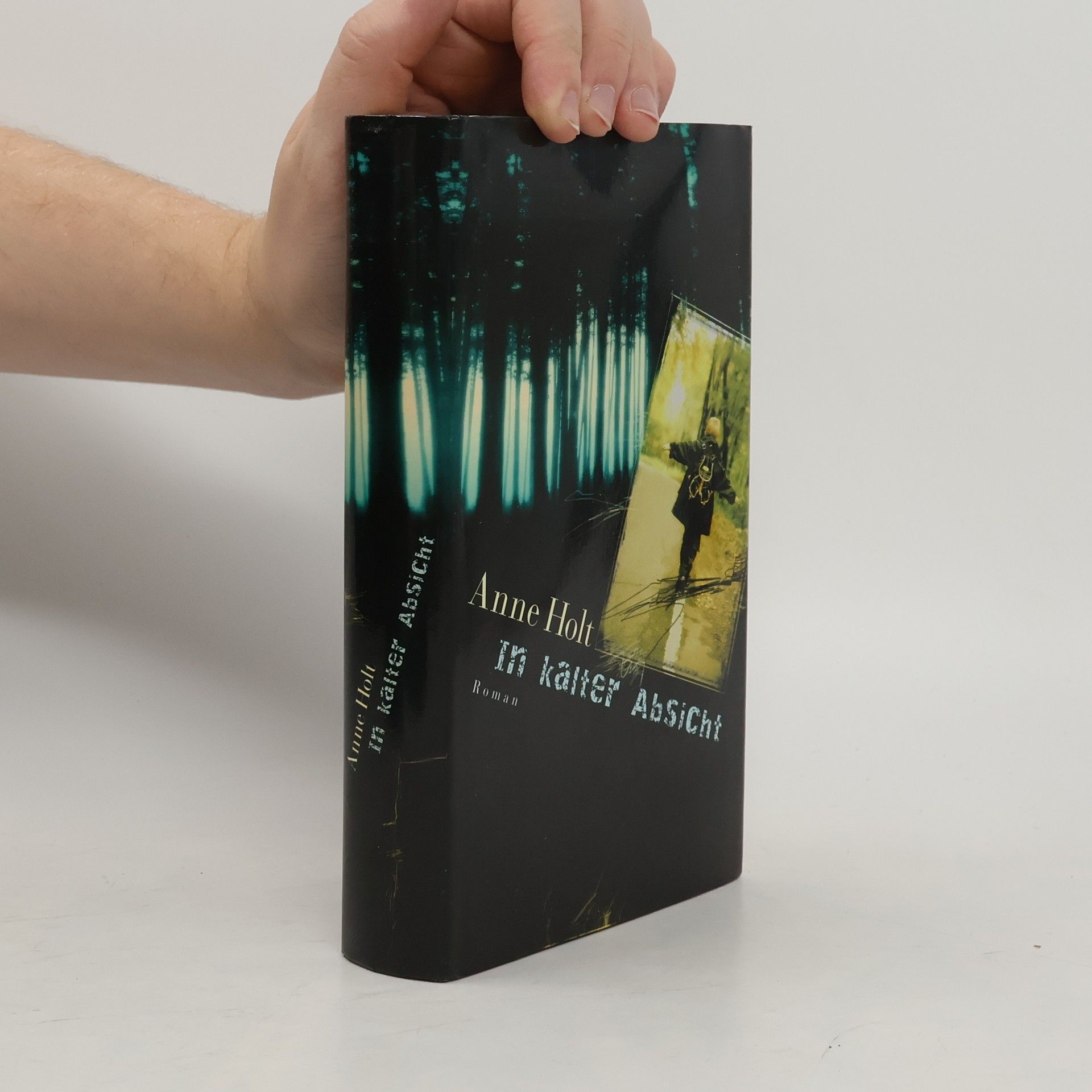 Anne Holt In kalter Absicht