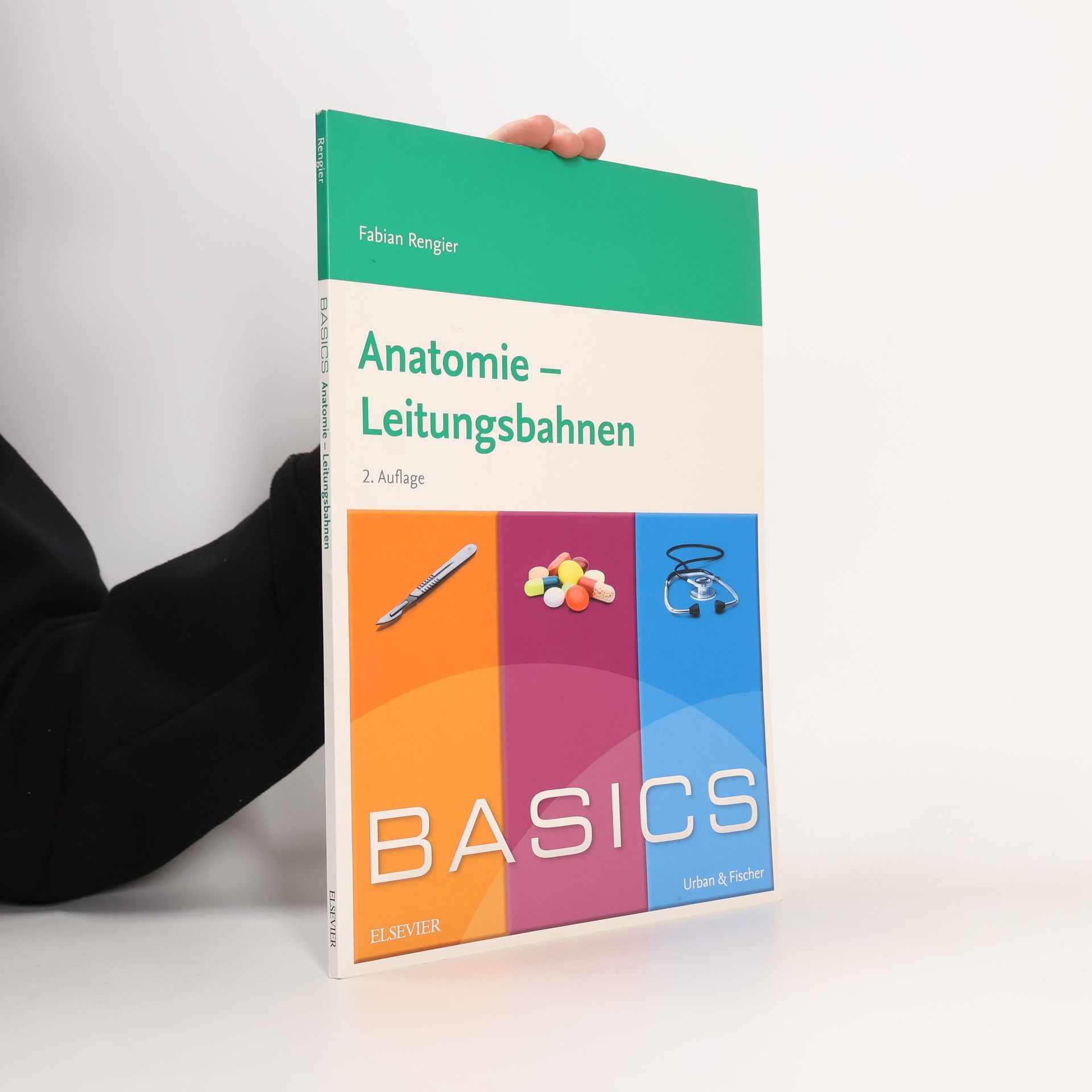 Basics Anatomie - Leitungsbahnen