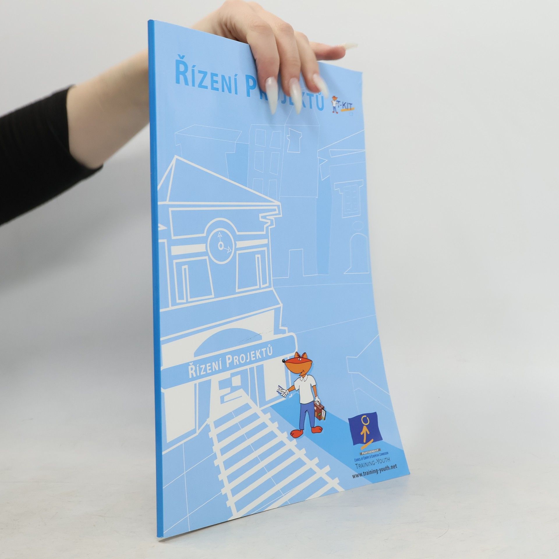 Collectif d'auteurs Řízení projektů