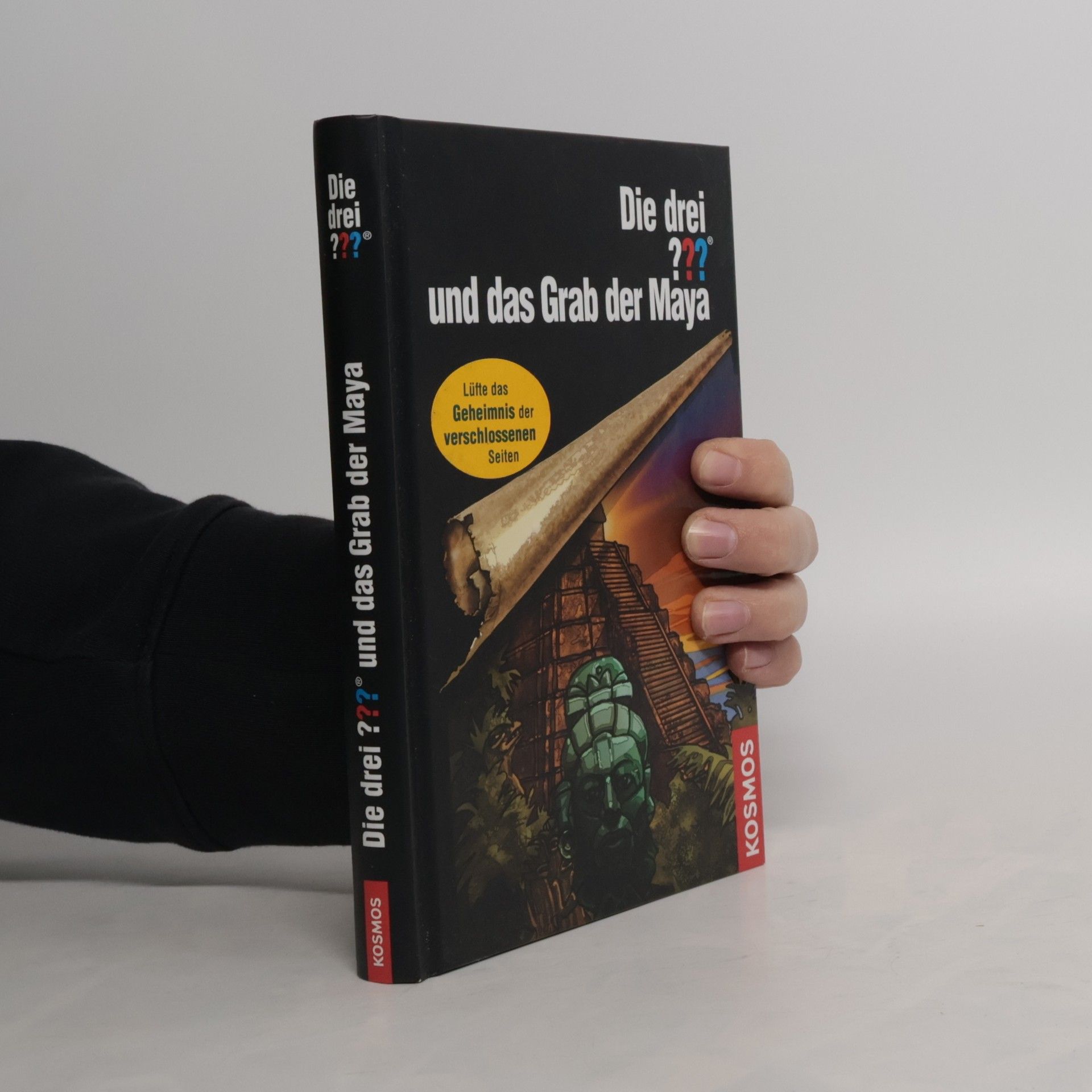 Silvia Christoph Die drei ??? und das Grab der Maya