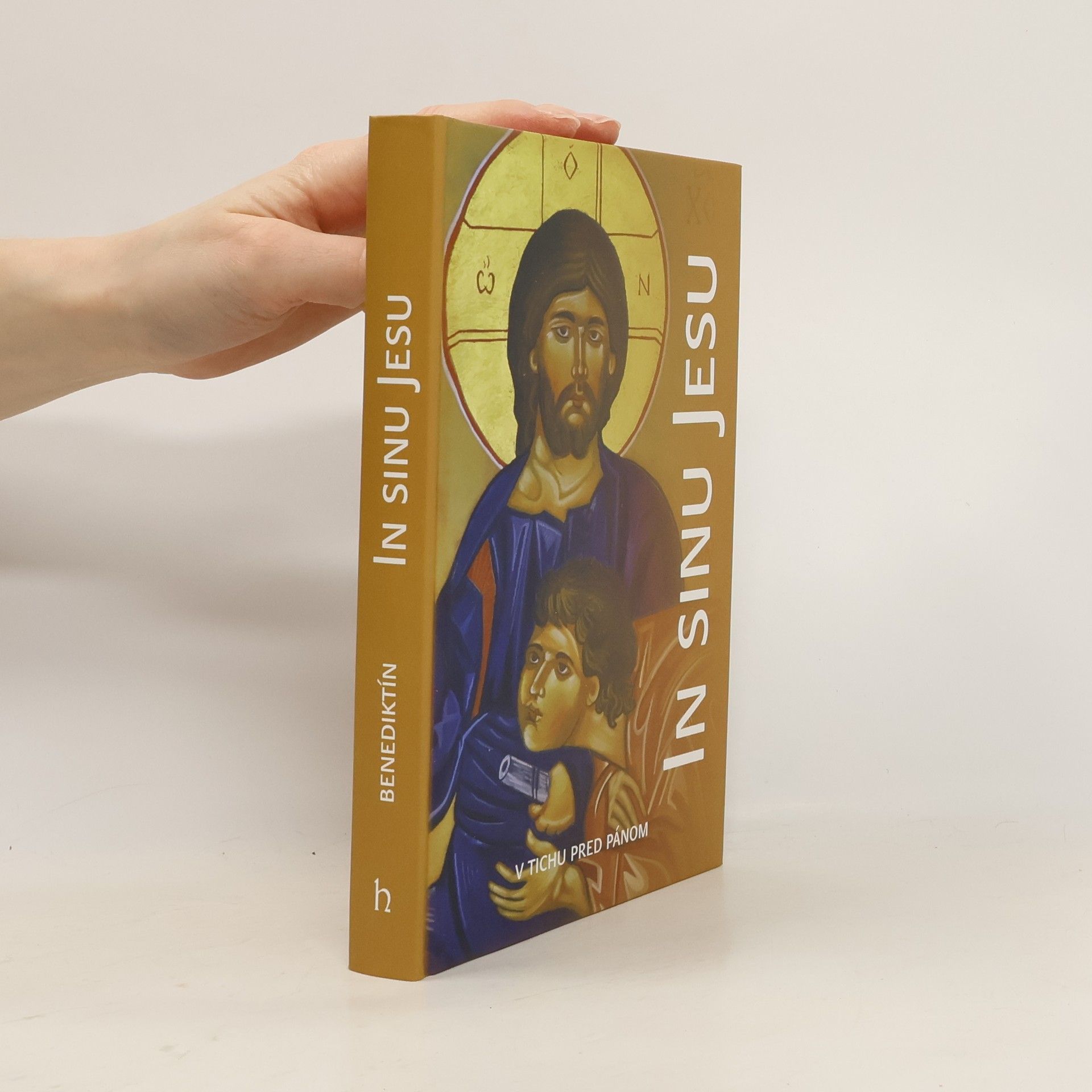 Kolektiv autorů In sinu Jesu