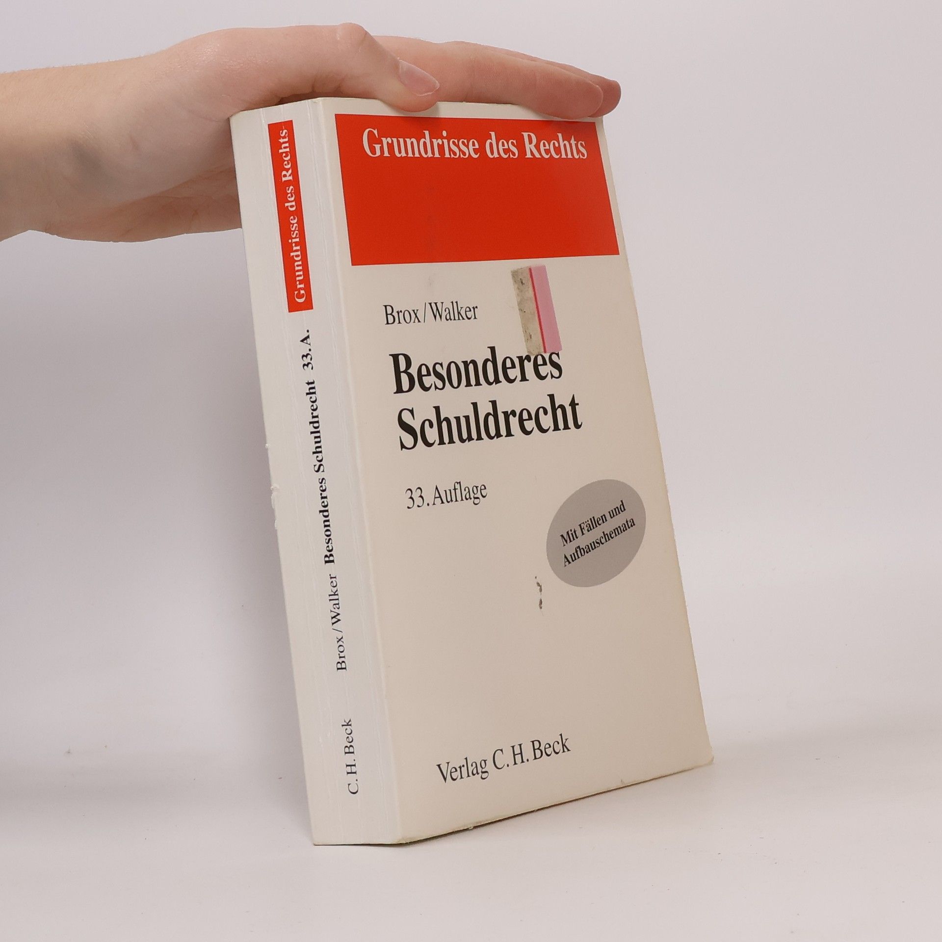 Grundrisse des Rechts: Besonderes Schuldrecht