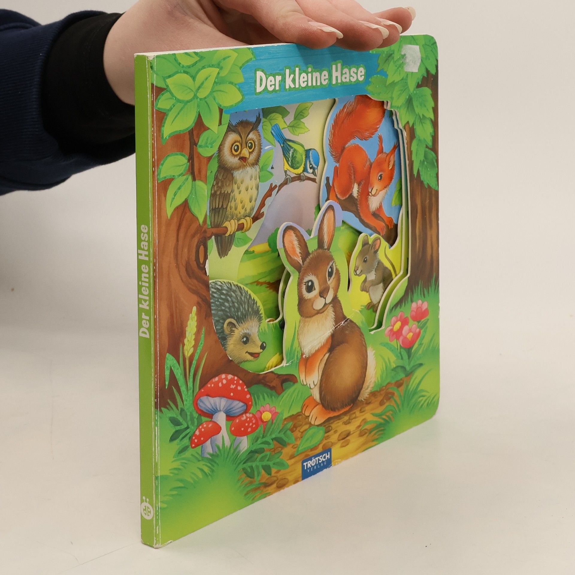 Auteurscollectief Trötsch Der Kleine Hase Fensterbuch. Entdeckerbuch Beschäftigungsbuch Spielbuch