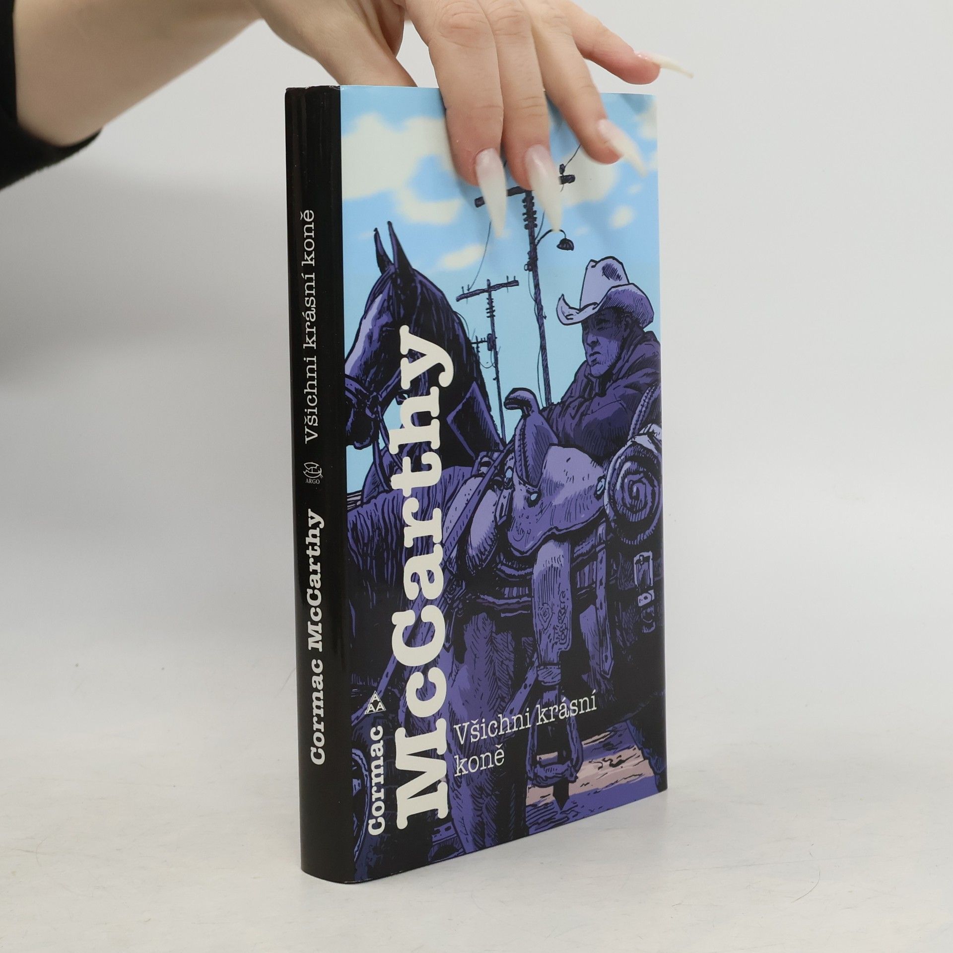 Všichni krásní koně