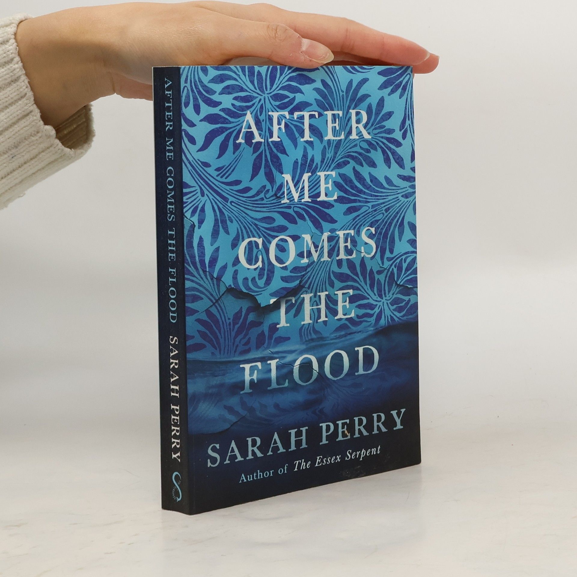 Sarah Perry After me comes the flood