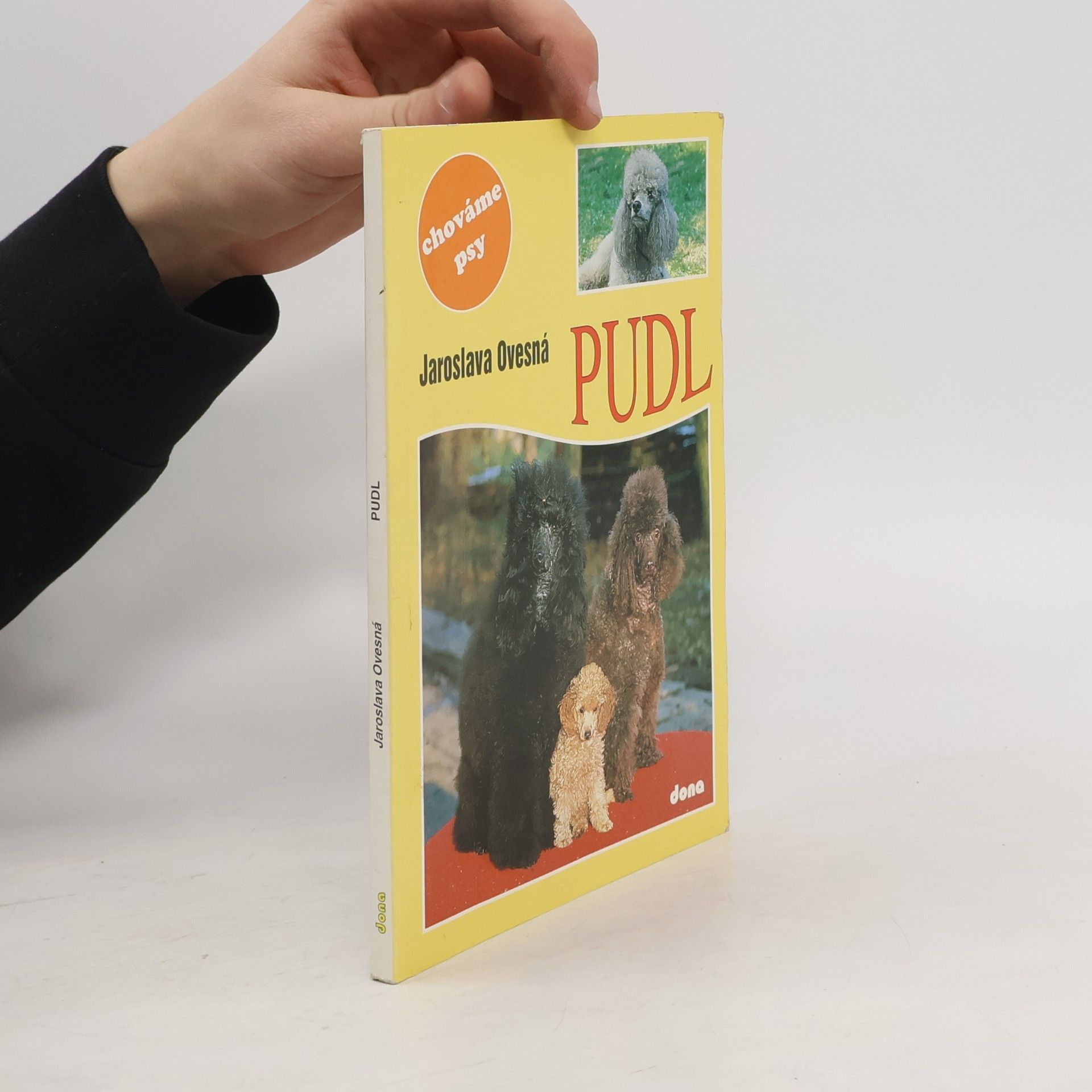 Pudl