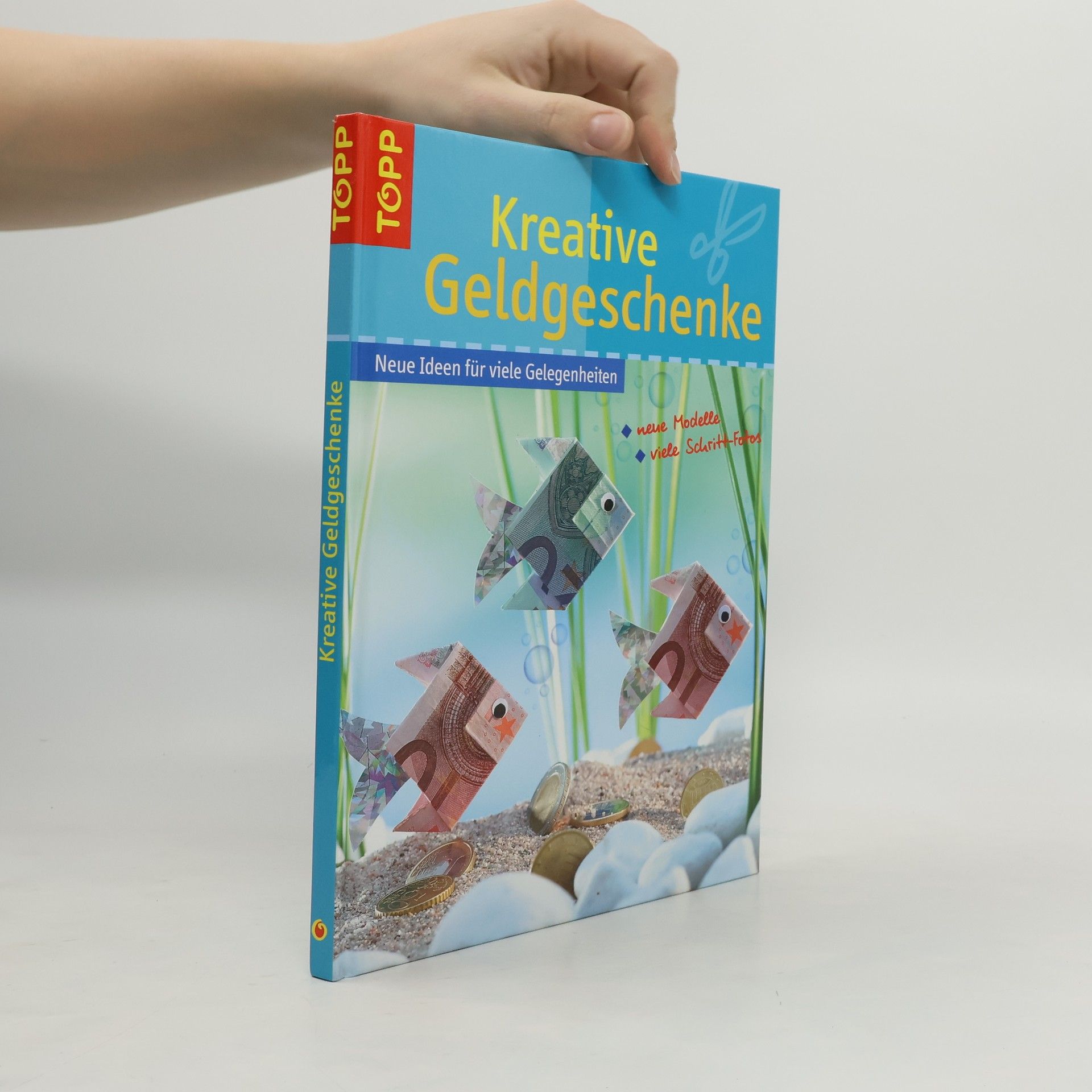 Annette Bayer Kreative Geldgeschenke