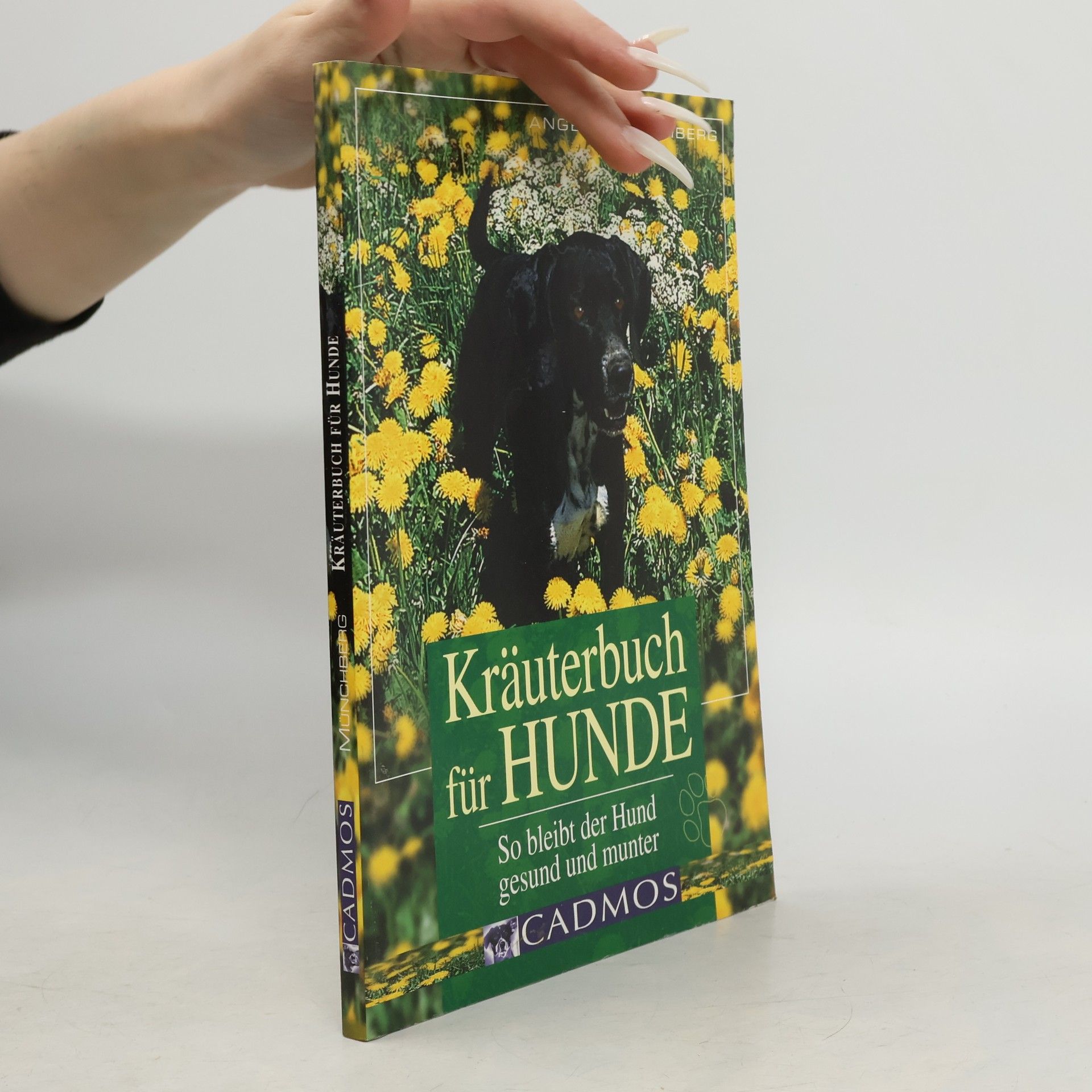 Heilkräuter für Hunde