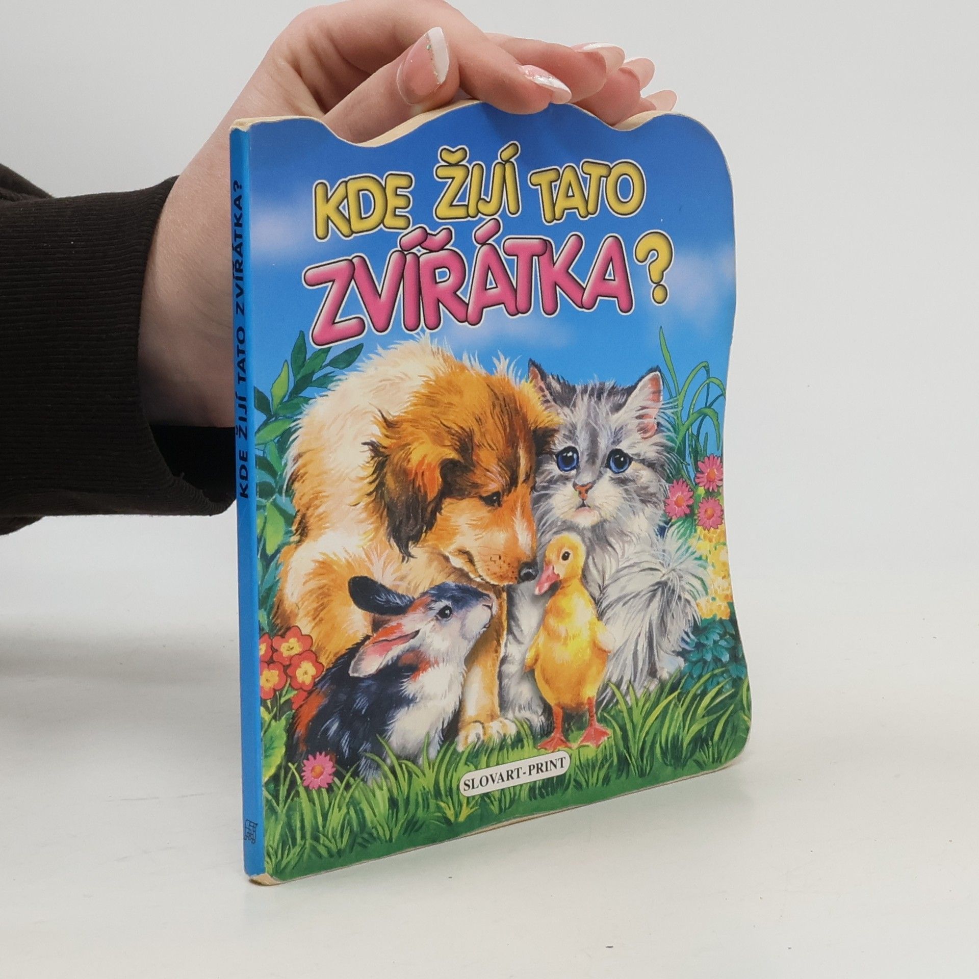 Kde žijí tato zvířátka?
