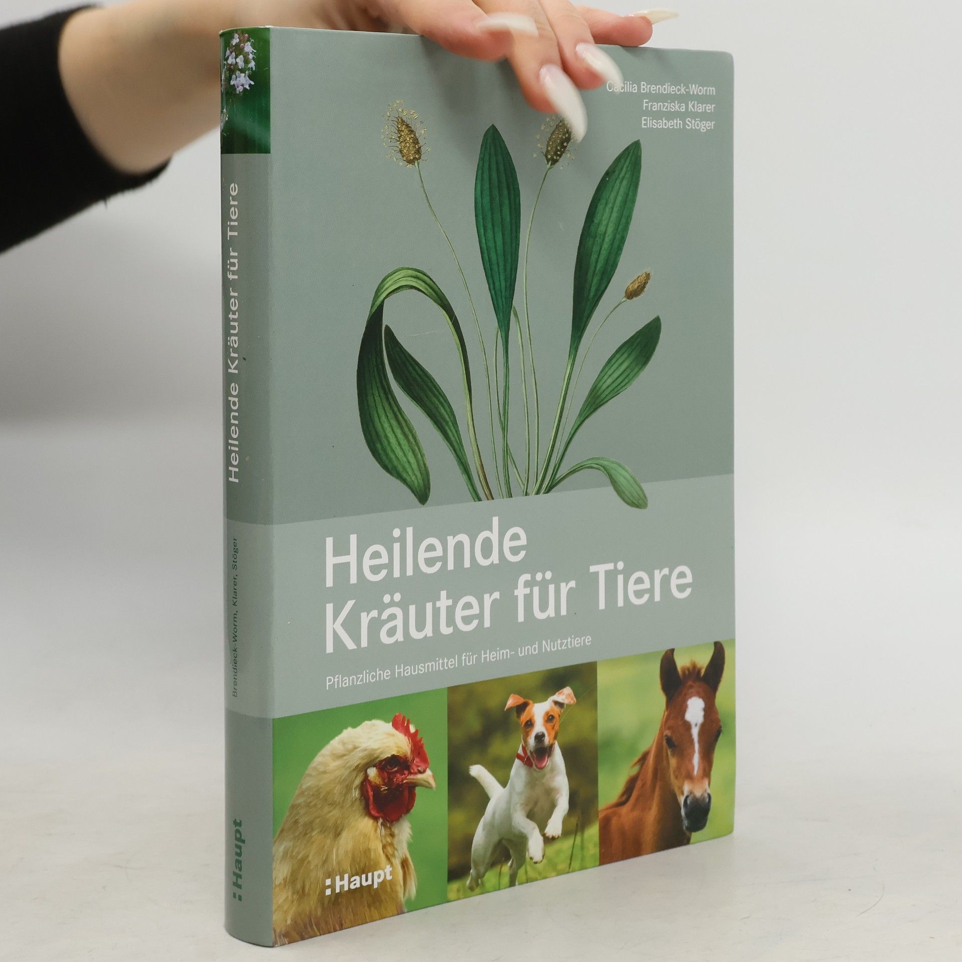 Cäcilia Brendieck-Worm Heilende Kräuter für Tiere