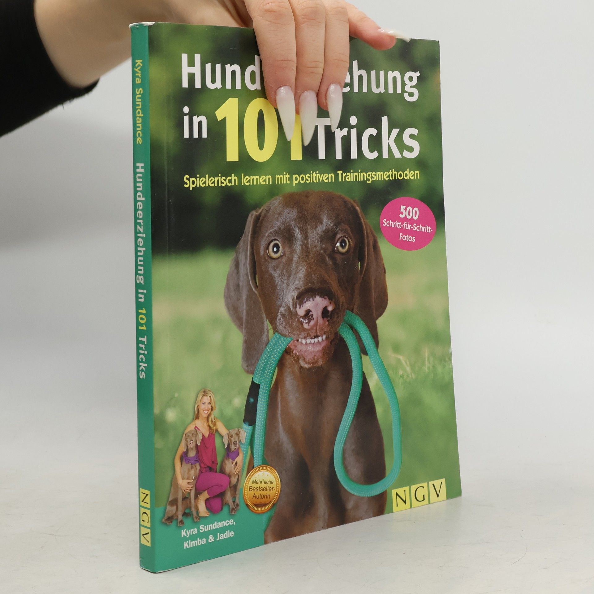 Hundeerziehung in 101 Tricks