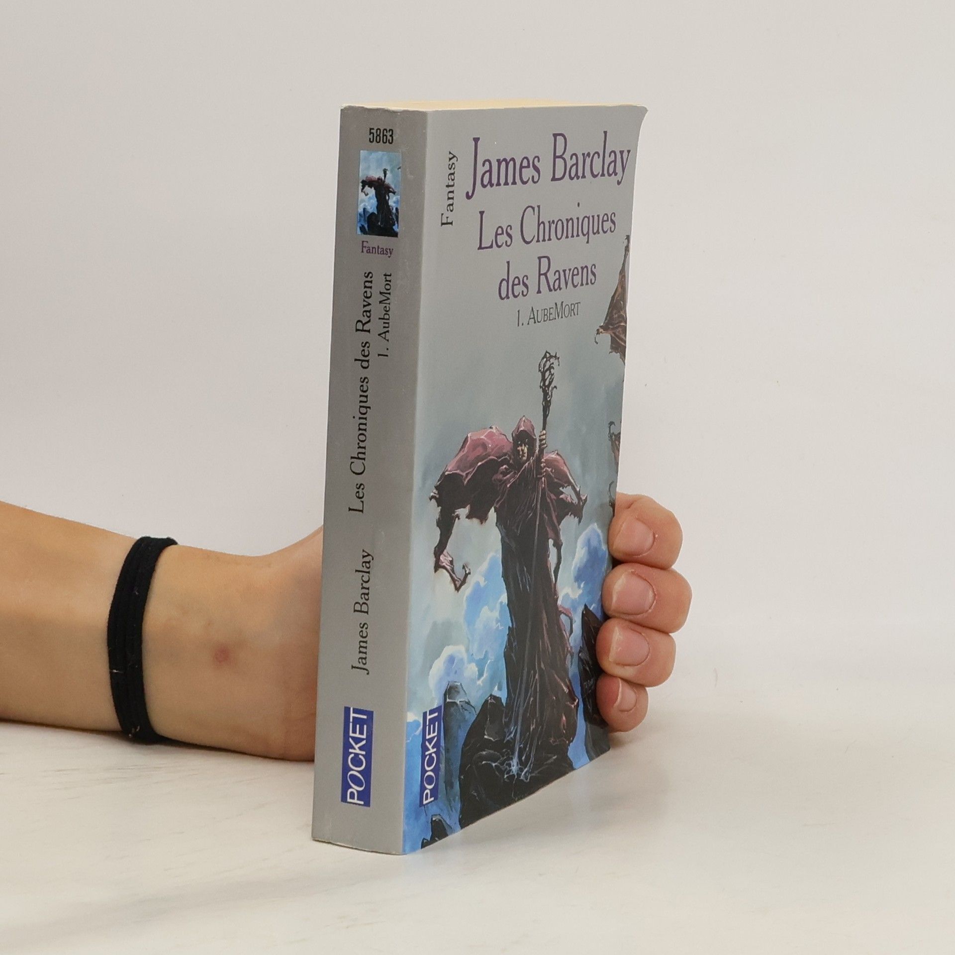 Les chroniques des Ravens - 1: AubeMort