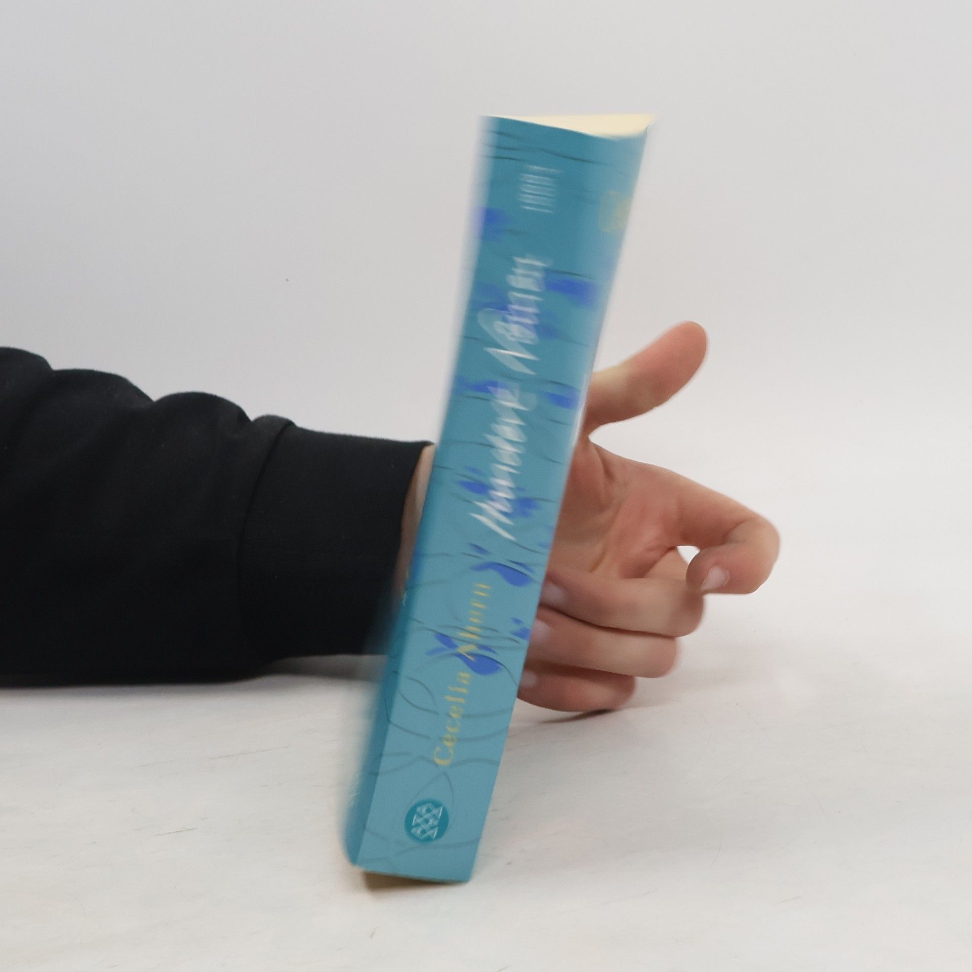 Cecelia Ahern Hundert Namen