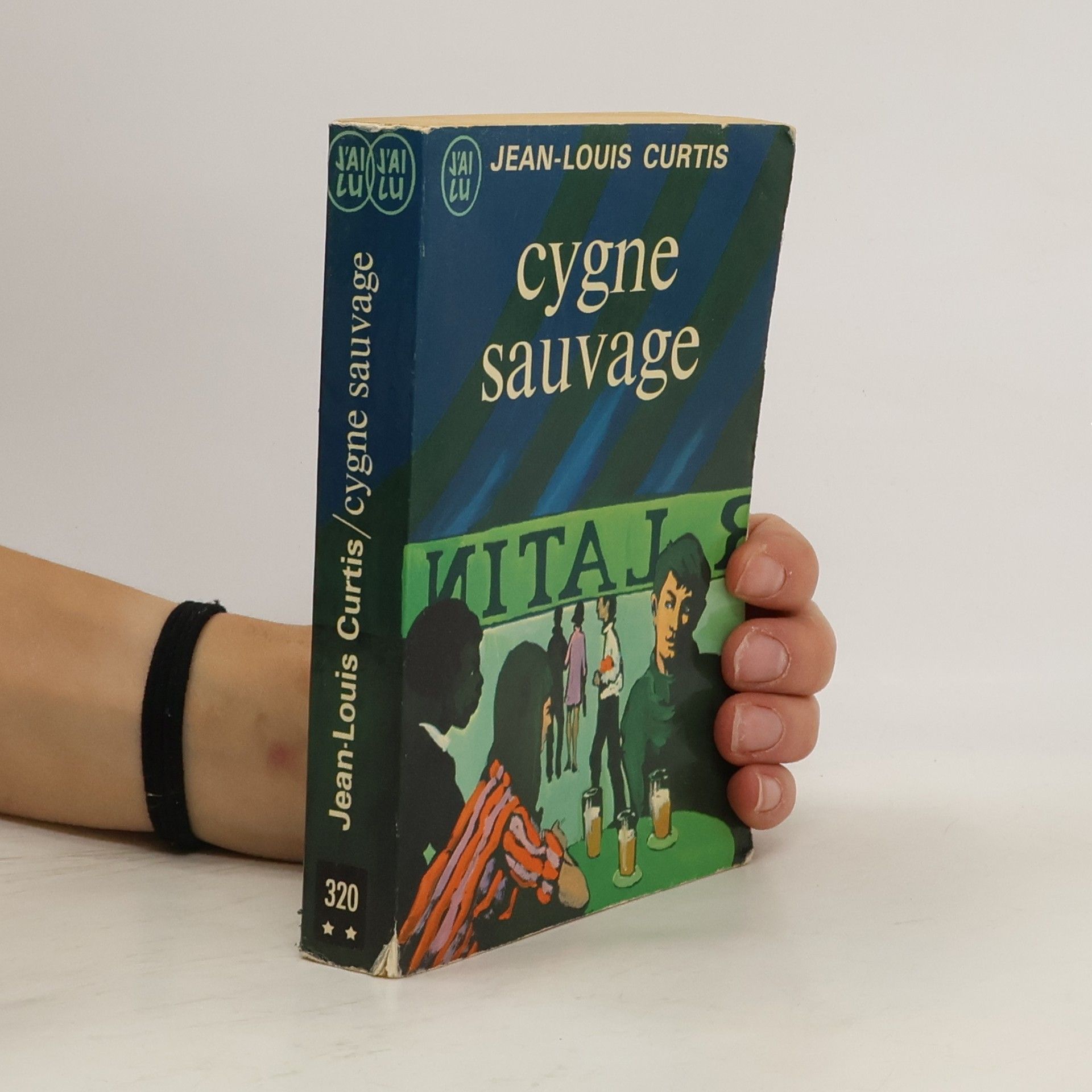 Cygne sauvage