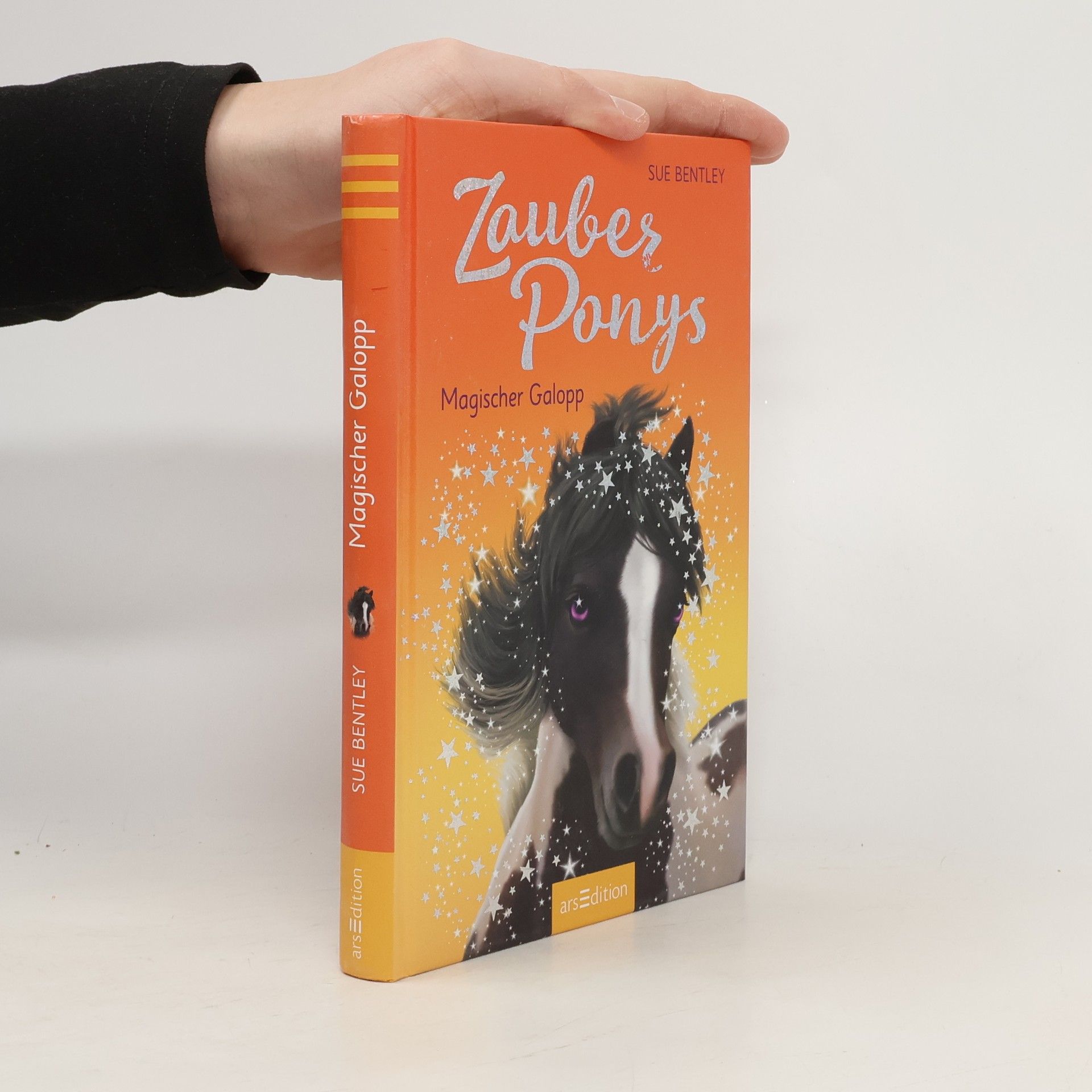 Sue Bentley Zauberponys - magischer Galopp