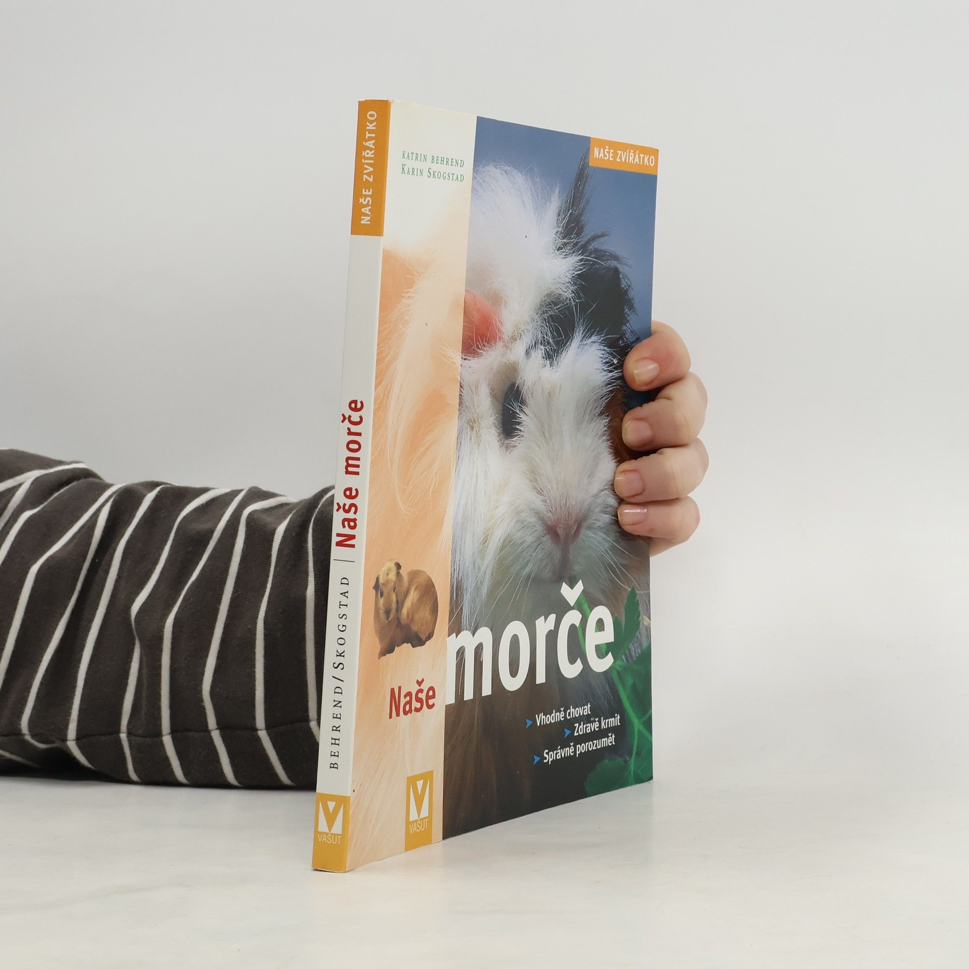 Naše morče: Vhodná péče, zdravá strava, správné porozumění