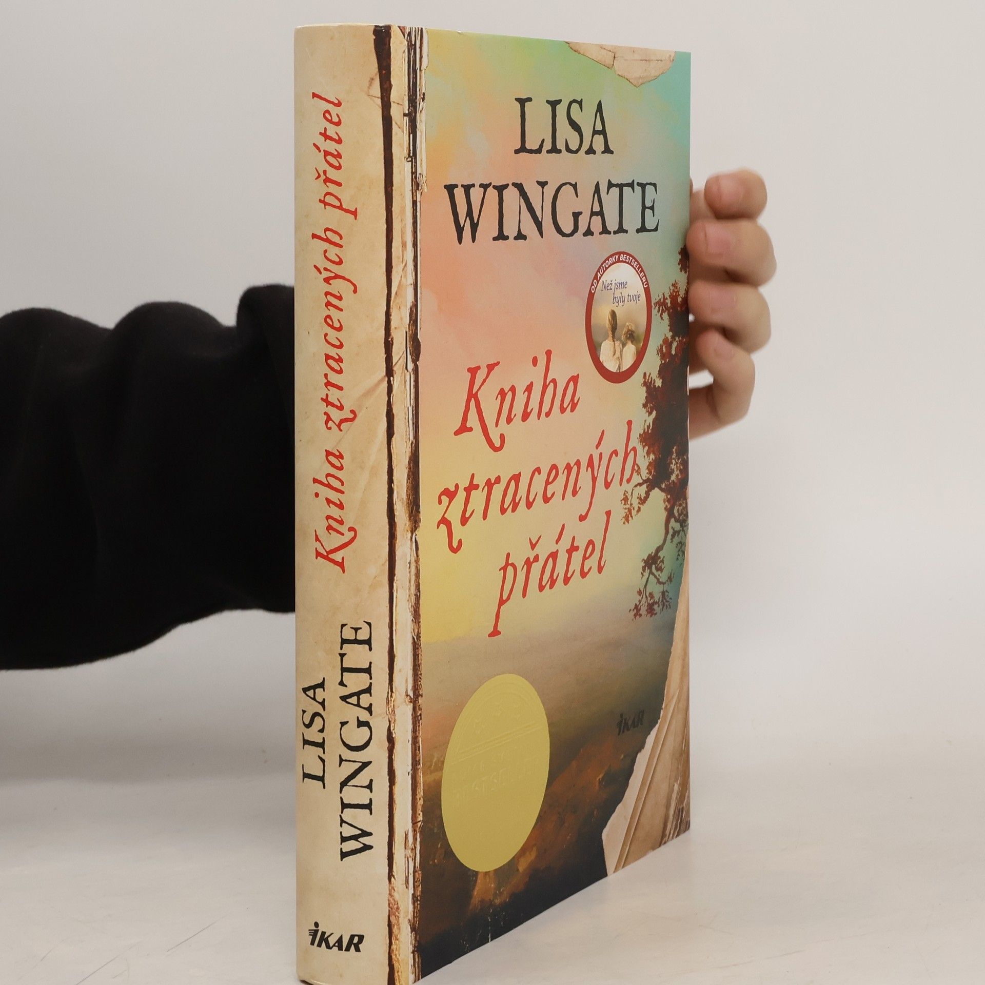 Lisa Wingate Kniha ztracených přátel