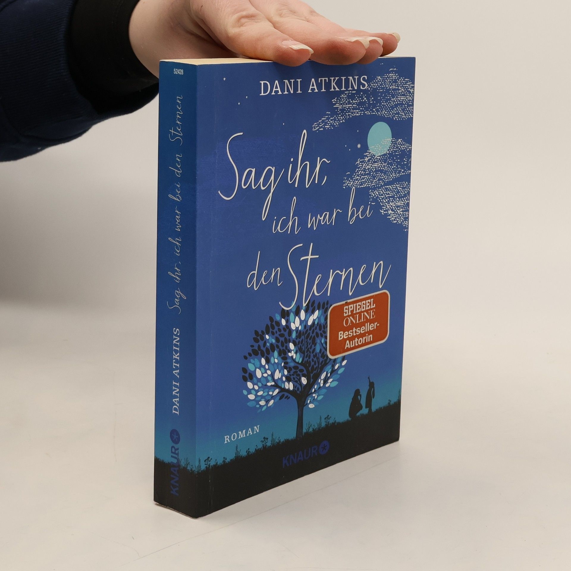 Dani Atkins Sag ihr, ich war bei den Sternen