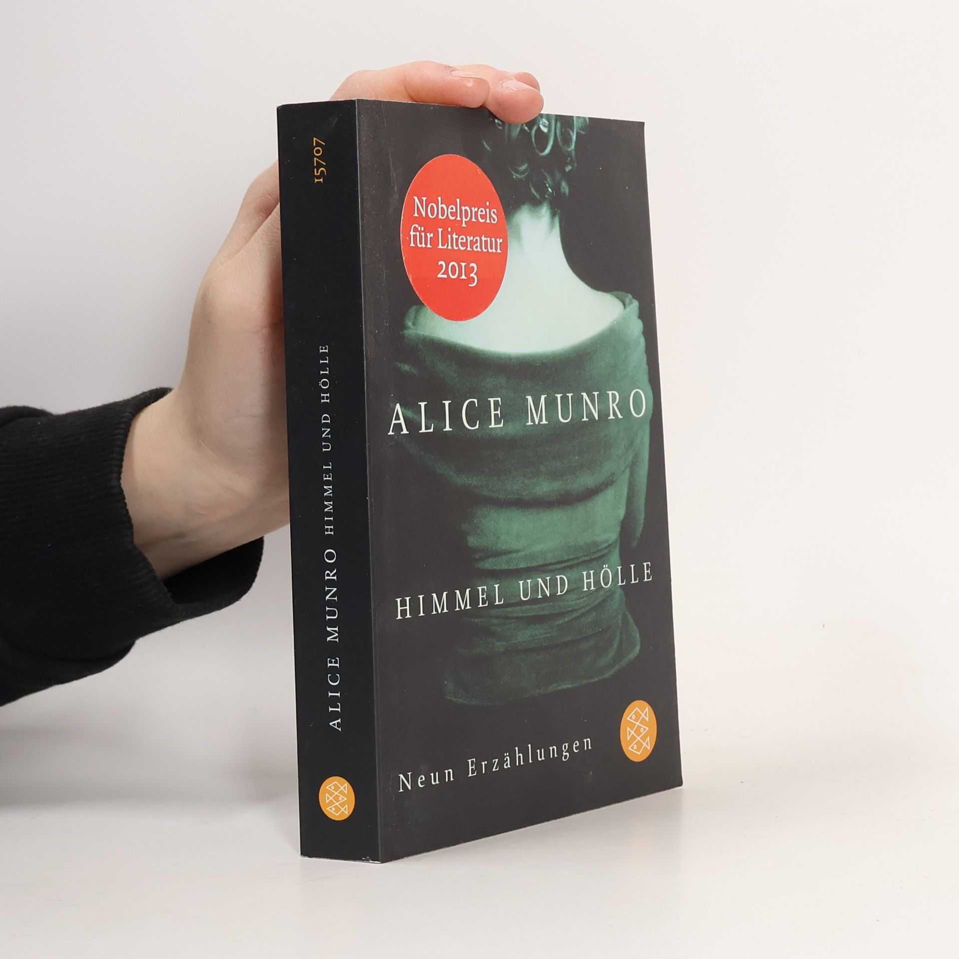 Alice Munro Himmel und Hölle