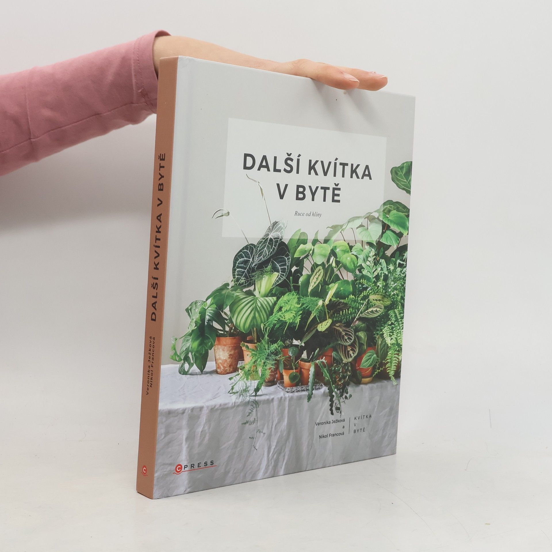 Další kvítka v bytě : Ruce od hlíny