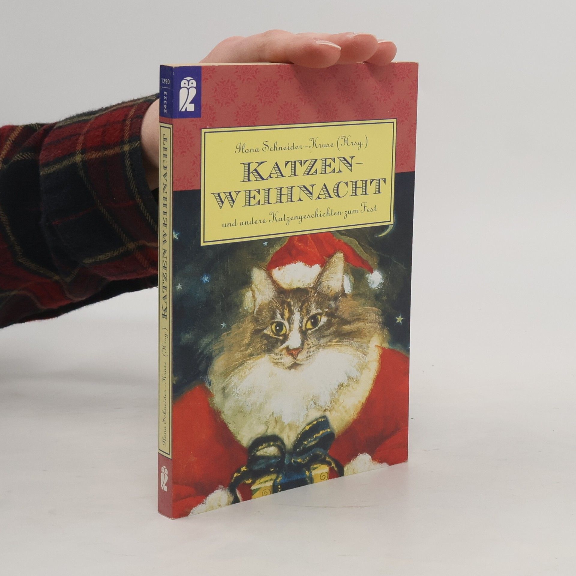 Kolektív autorov Katzenweihnacht und andere Katzengeschichten zum Fest