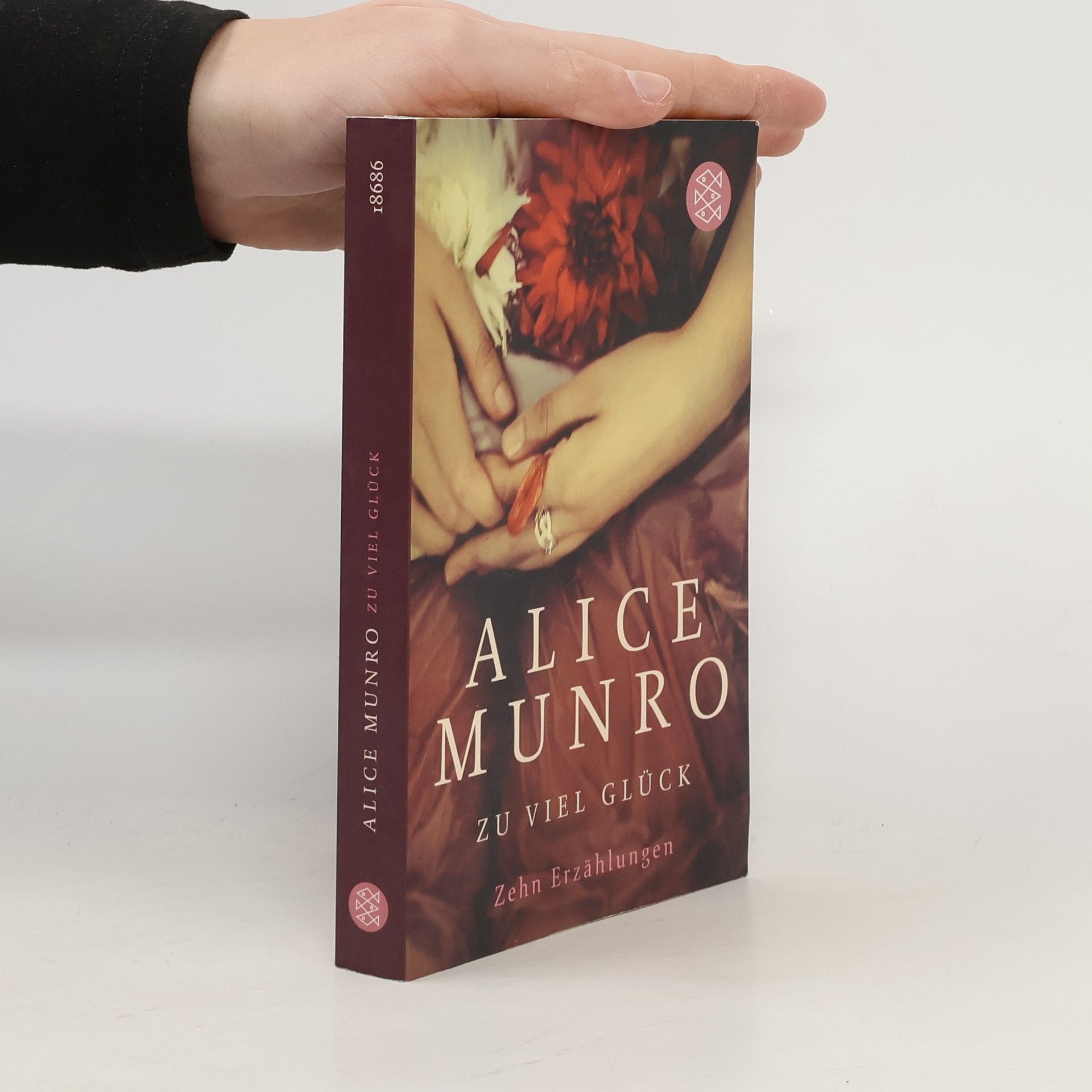 Alice Munro Zu viel Glück. zehn erzählungen