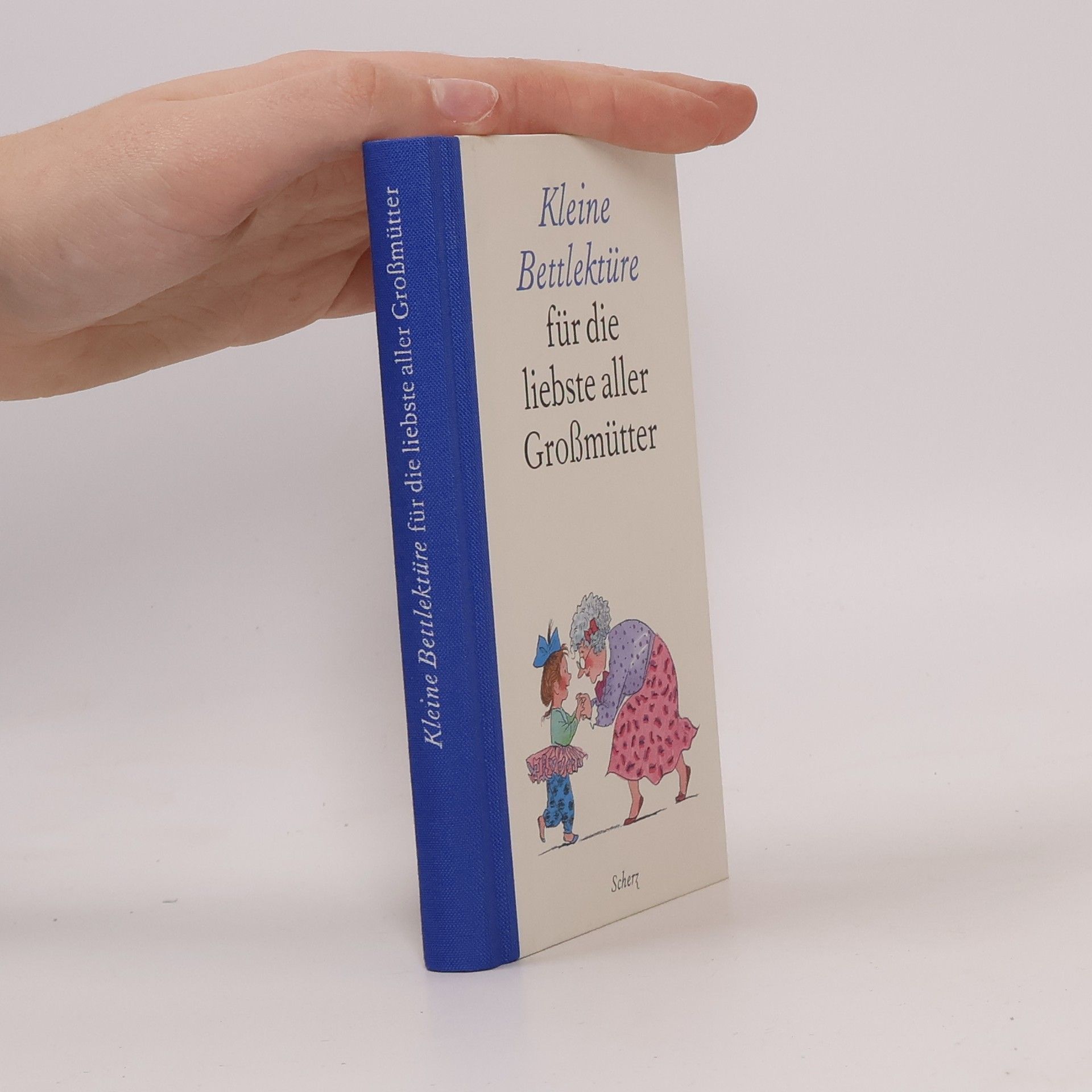 Kolektív autorov Kleine Bettlektüre für die liebste aller Großmütter.