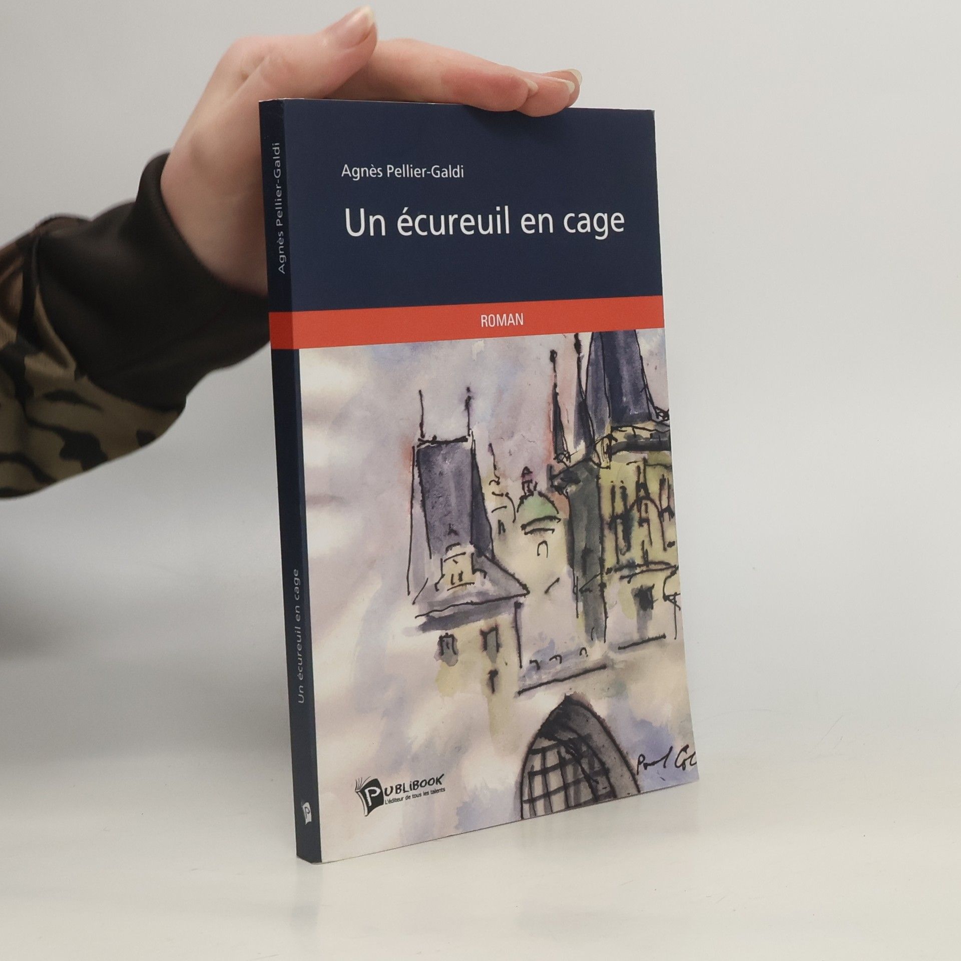 Un écureuil en cage