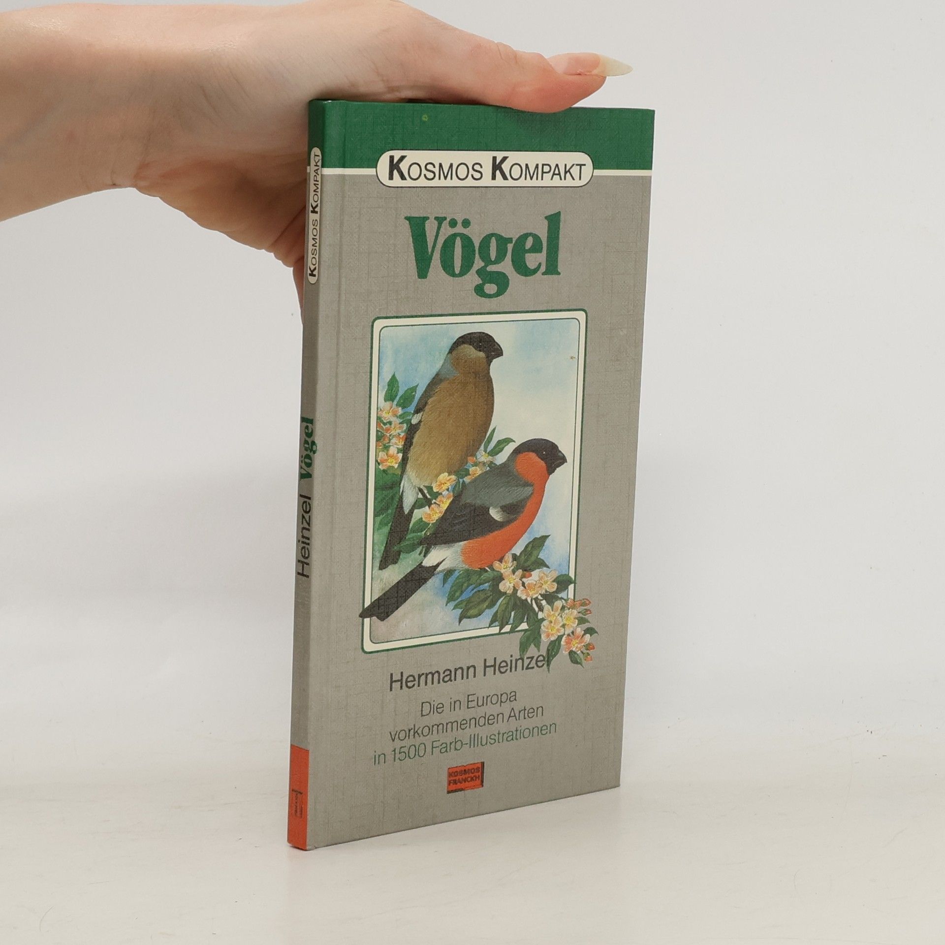 Vögel