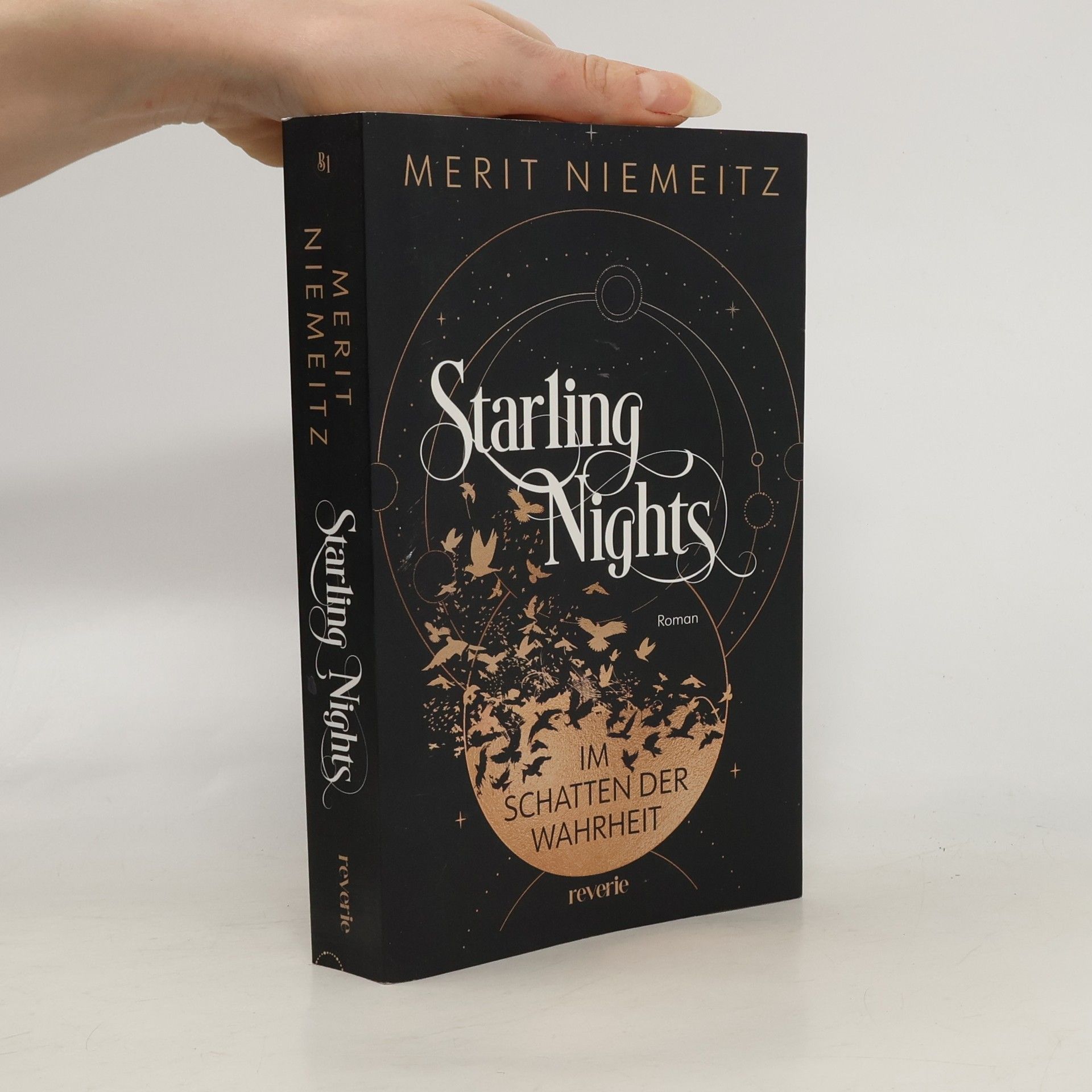 Merit Niemeitz Starling Nights 1