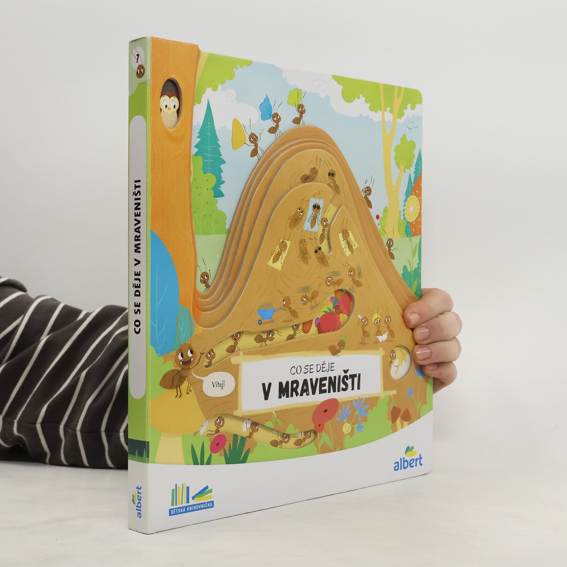 Kolektiv autorů Co se děje v mraveništi