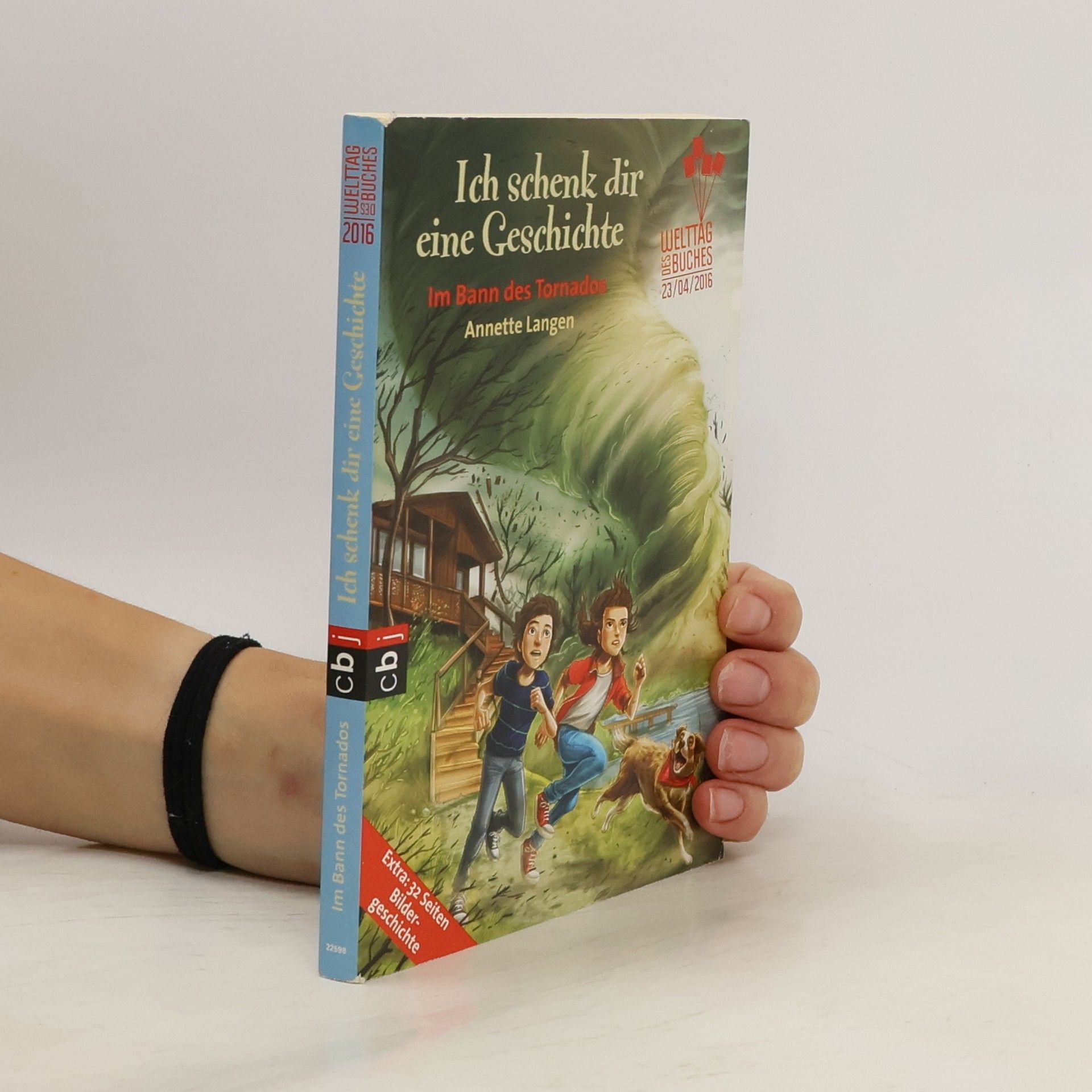 Annette Langen Ich schenk dir eine Geschichte- Im Bann des Tornados